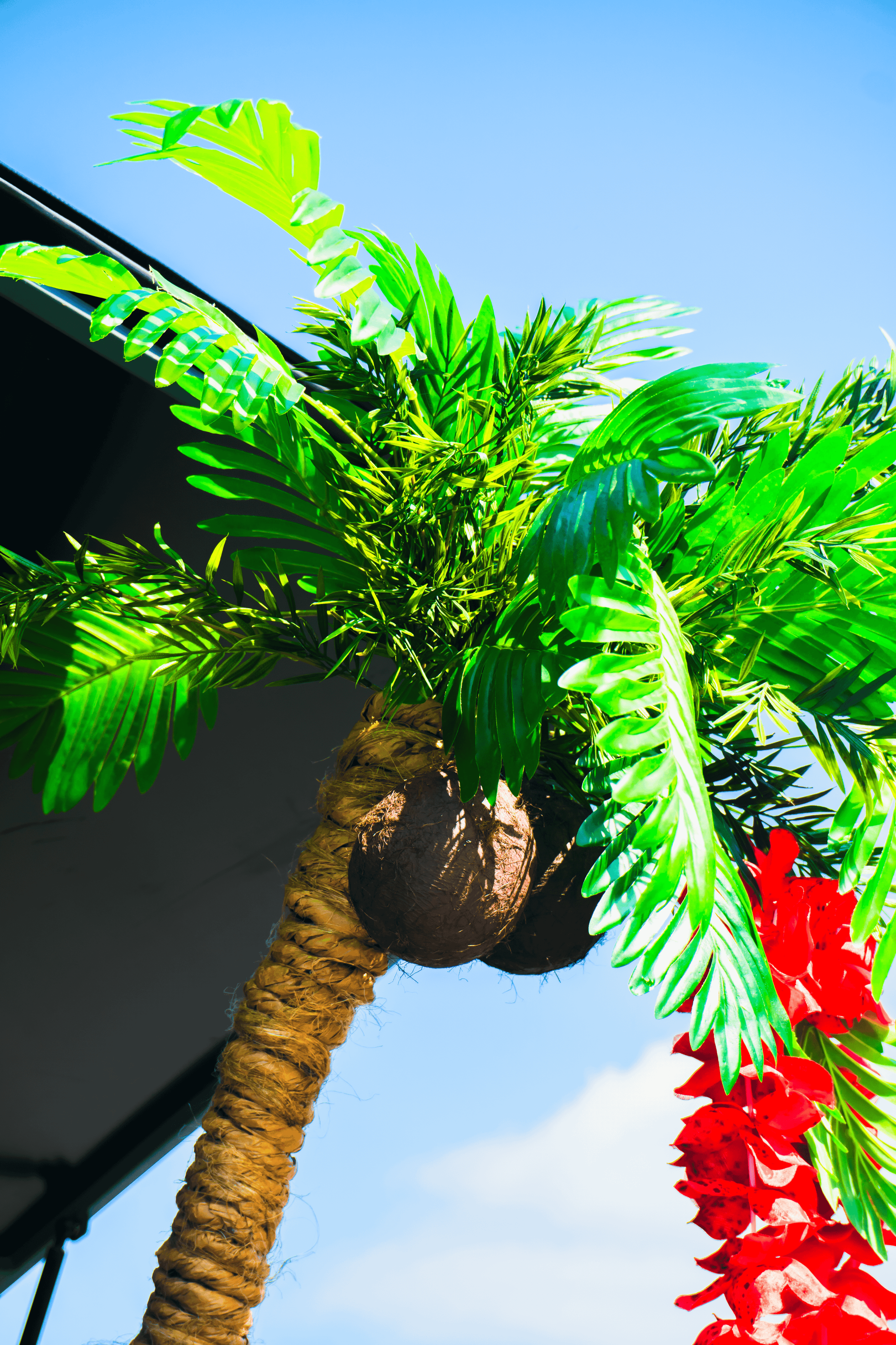 Nissan Datsun: наземная яхта