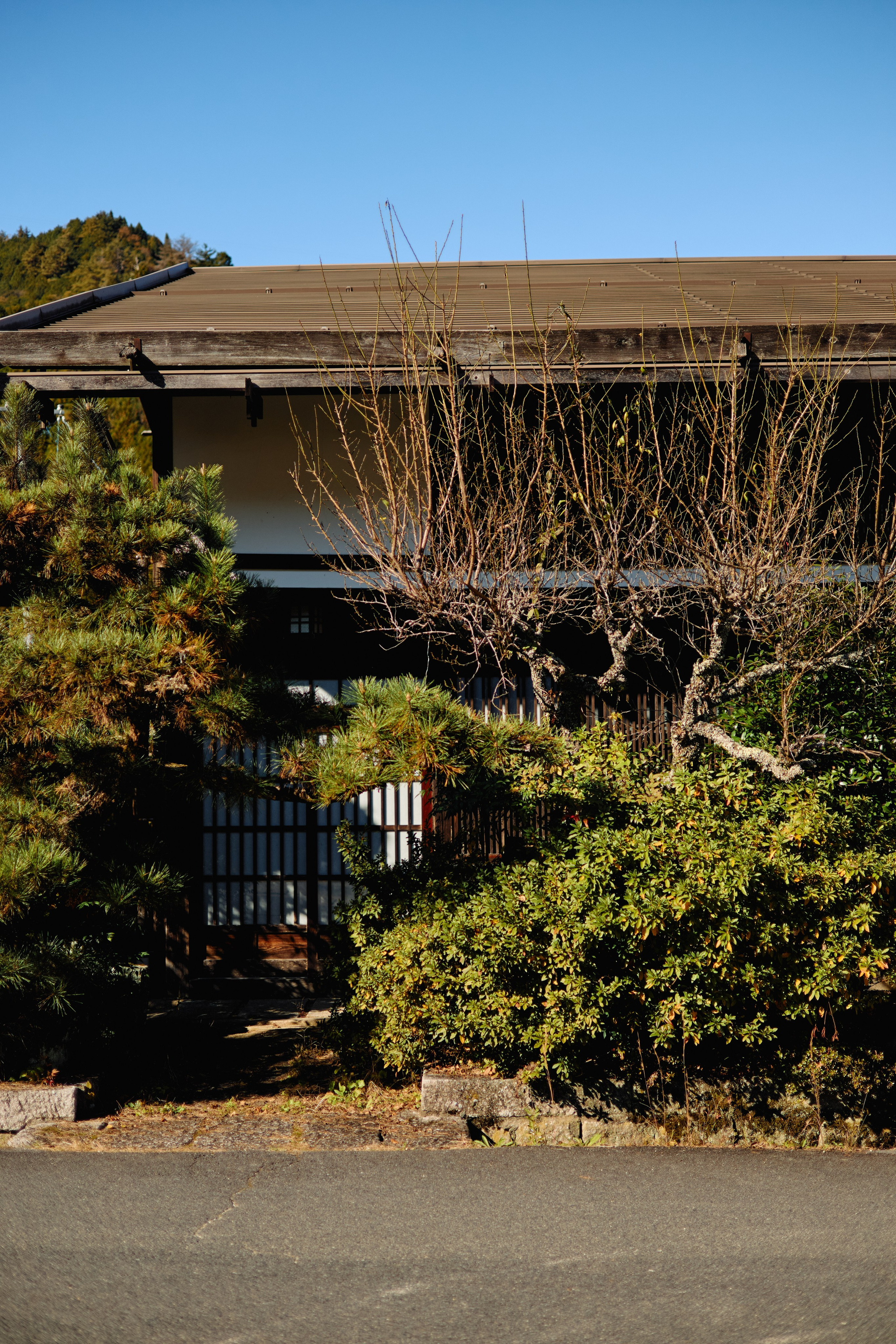 Япония. Профессиональный Фотограф во Владимире, в Москве и в Суздале — Полина Романычева