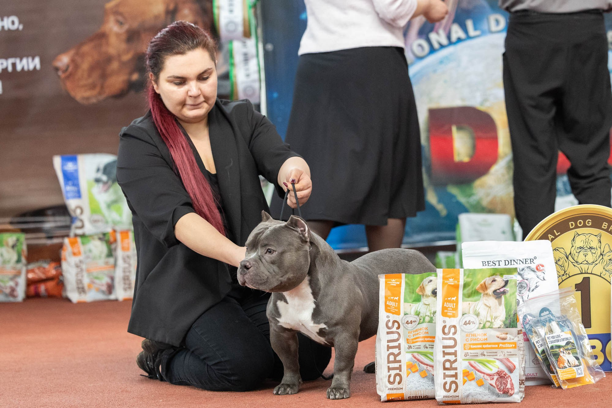 IDBC. Виктория Михайловская. Фотограф-анималист. Москва