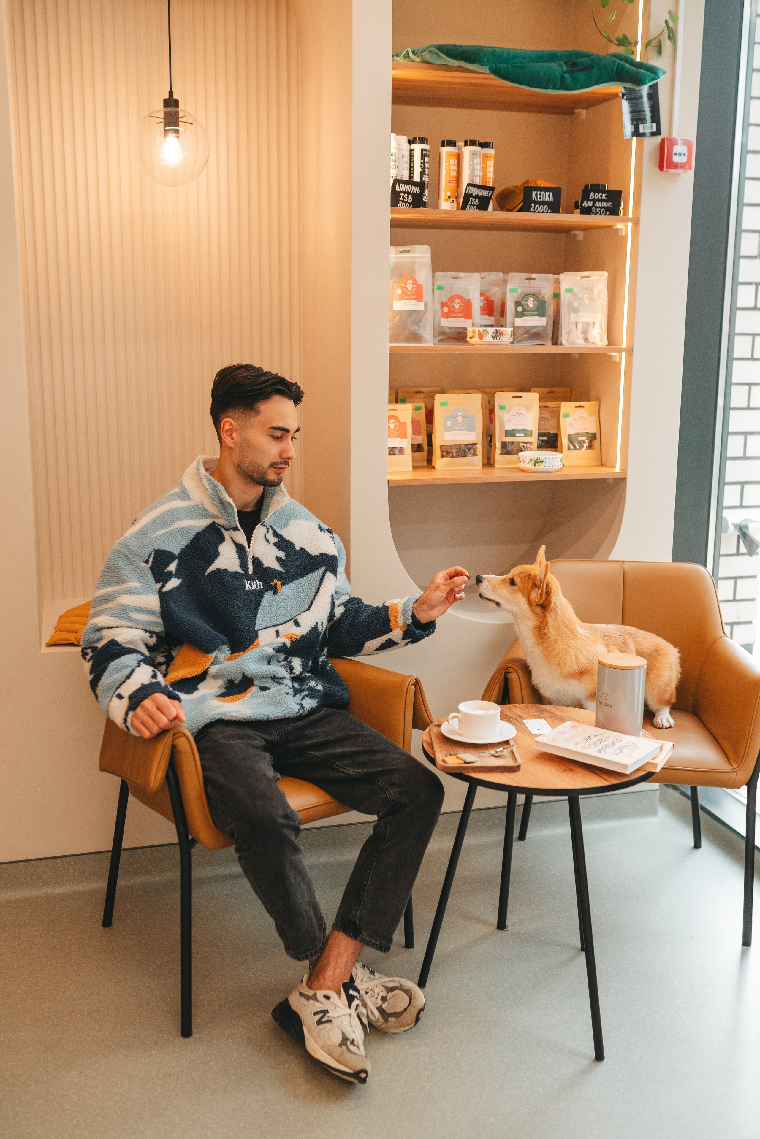 Груминг — салон. Фотограф анималист Осипчикова Мария