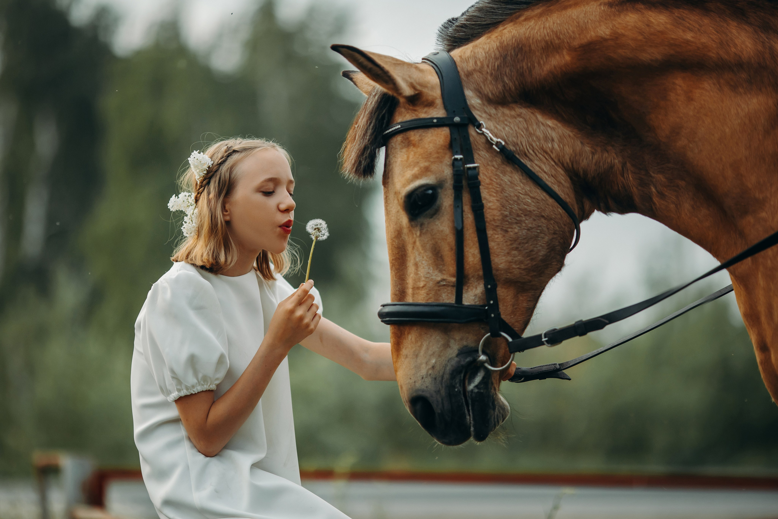 Даша и Ева. Анна Молчанова конный фотограф в Тюмени | фотосессии с лошадьми Тюмень