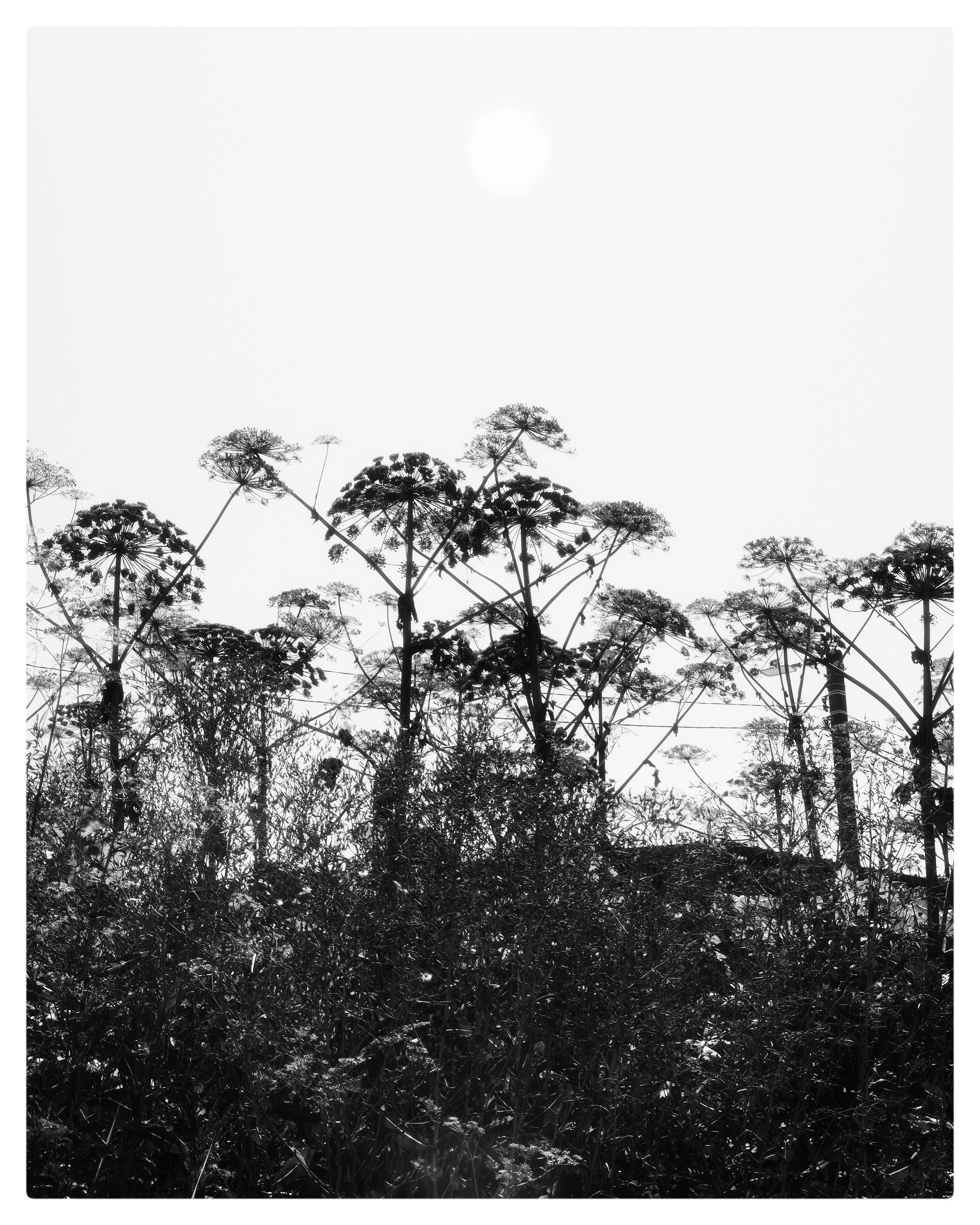 Природа. Фотограф Маргана Лоция