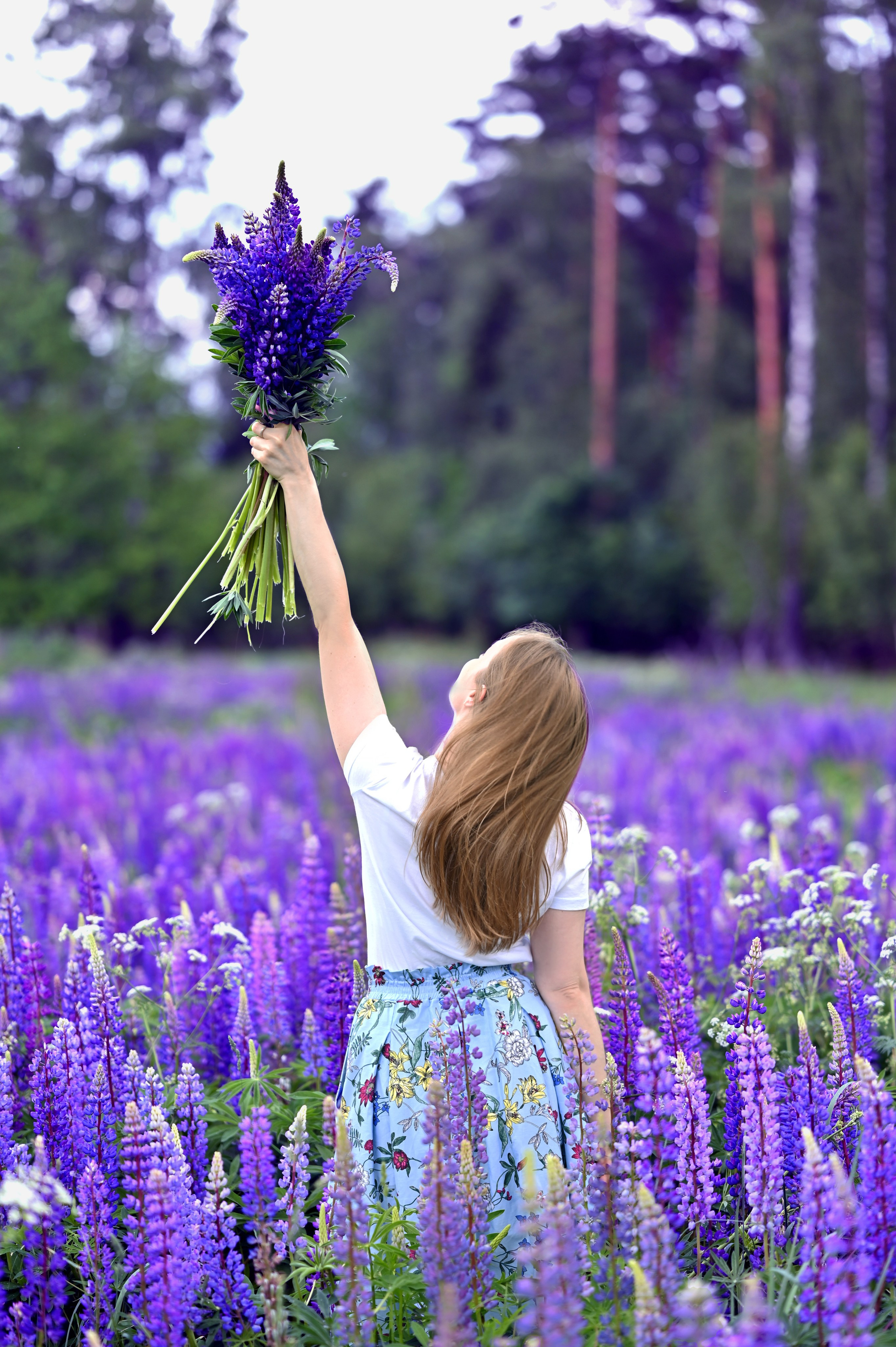 Анна и люпины. Фотограф Москва и Московская область Мария Кузьмина