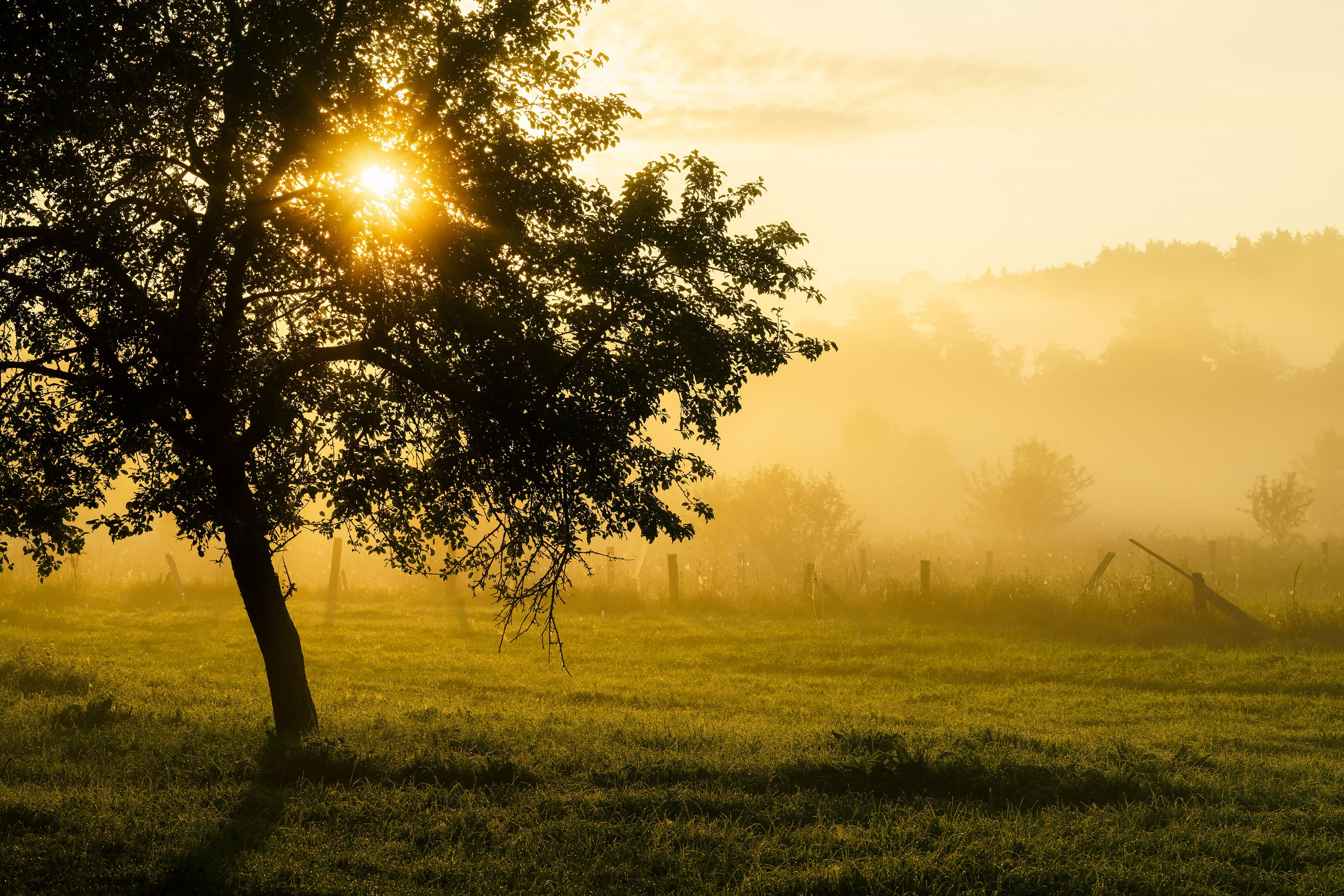 Фотографии Национальный парк Угра. Фотограф спортивные события, недвижимость, турбизнес