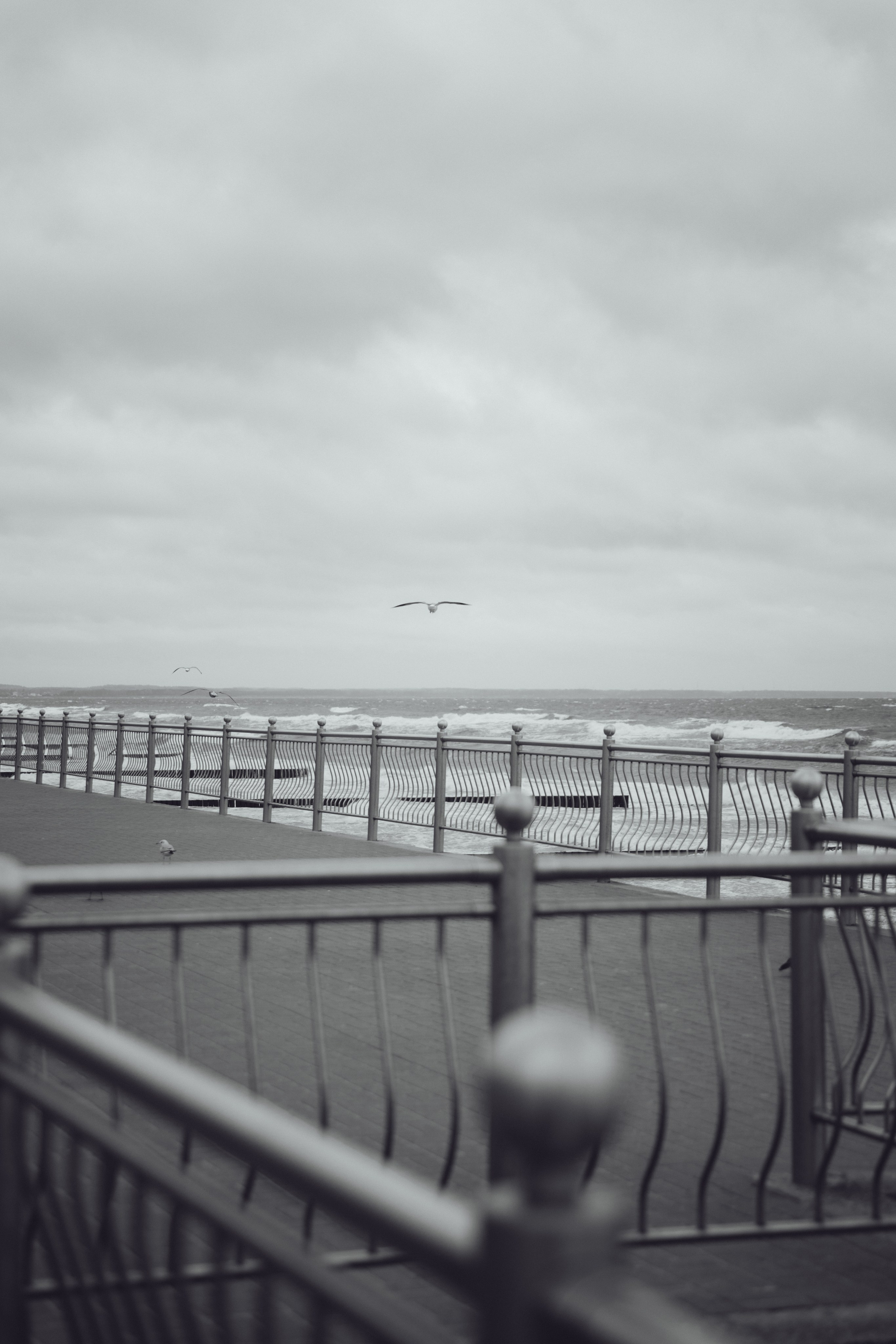 Дмитрий / Зеленоградск. Фотограф Калининград Илья Миллер