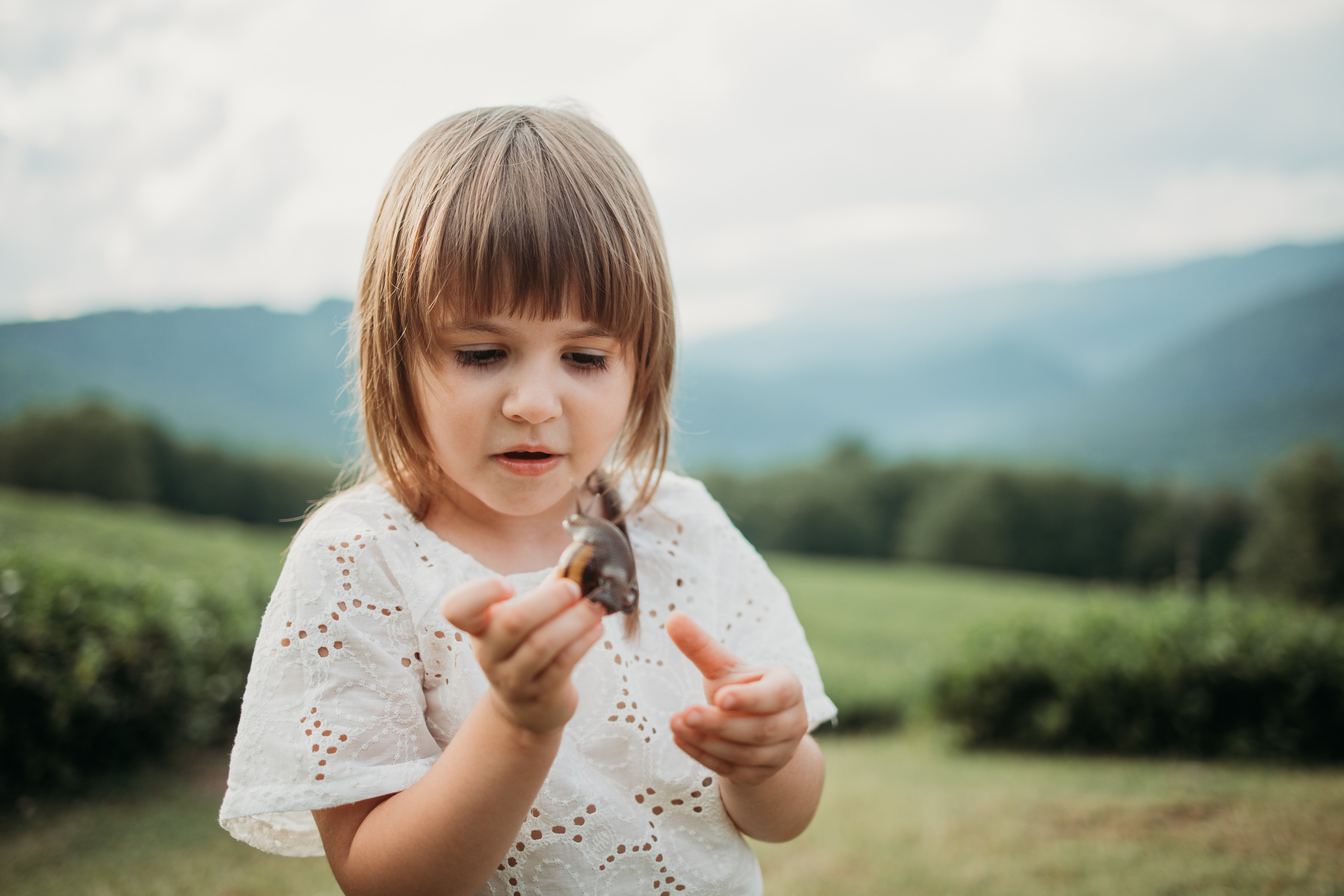 Семейная прогулка по плантациям. Фотограф Сочи Татьяна Зорина