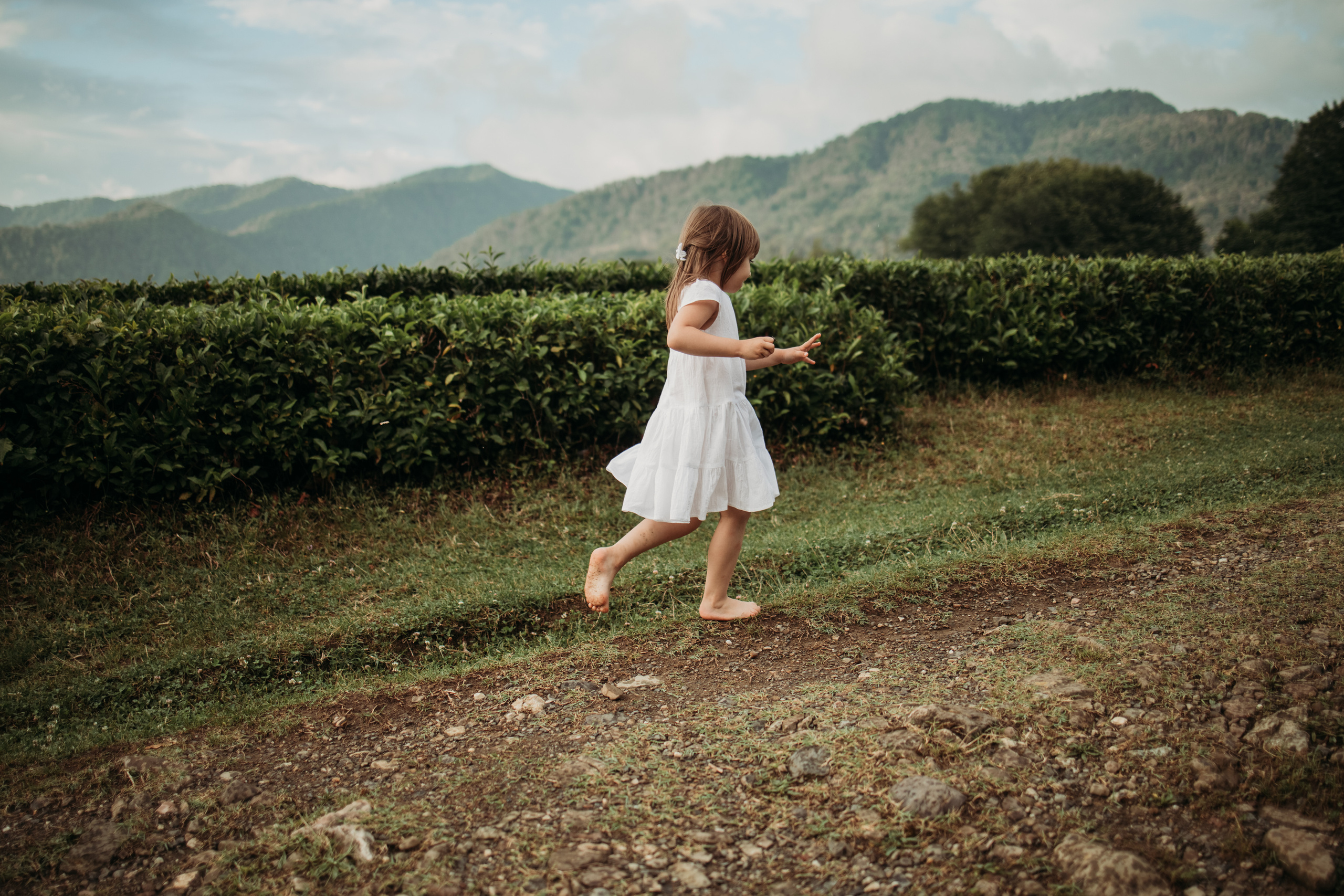 Семейная прогулка по плантациям. Фотограф Сочи Татьяна Зорина