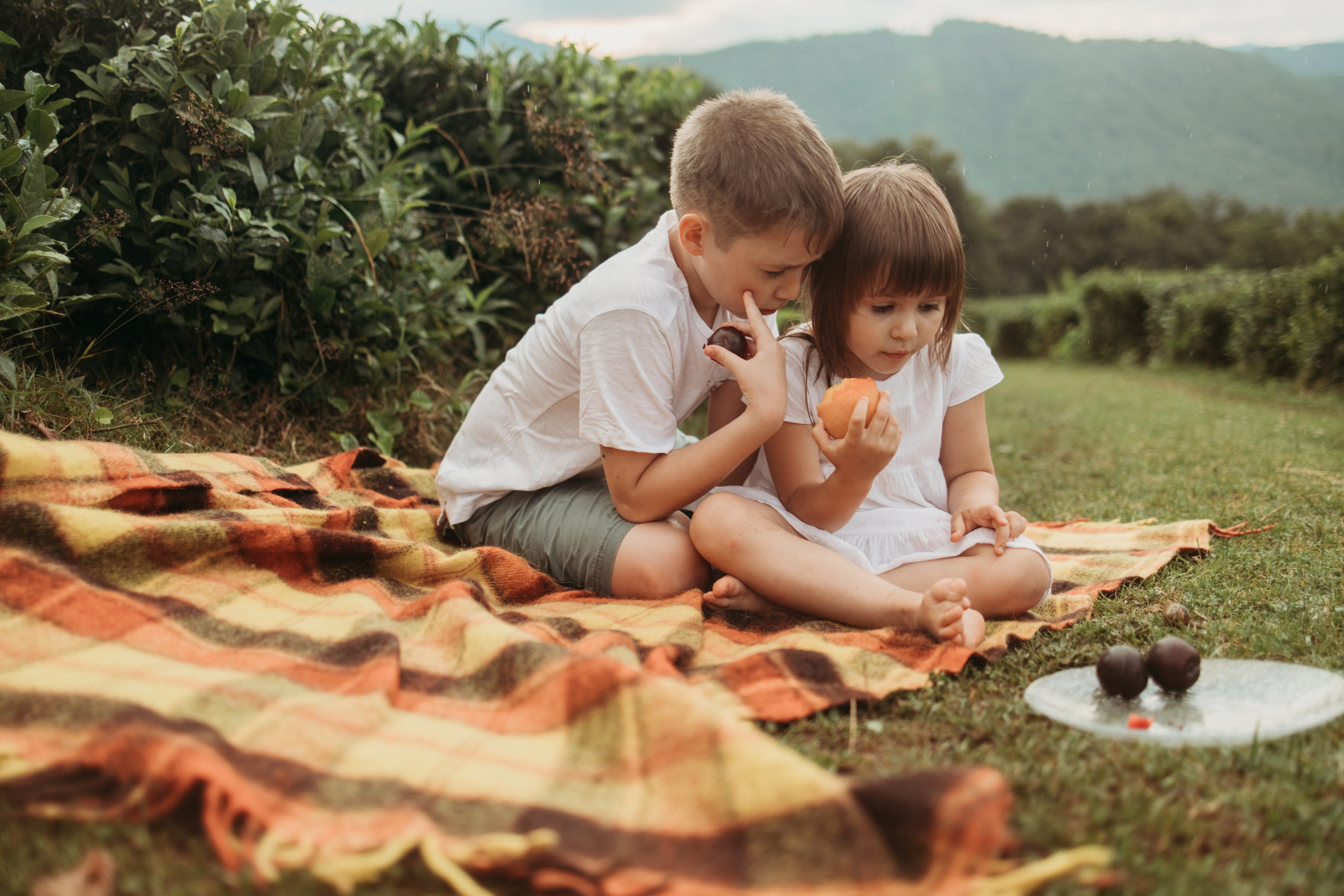 Семейная прогулка по плантациям. Фотограф Сочи Татьяна Зорина