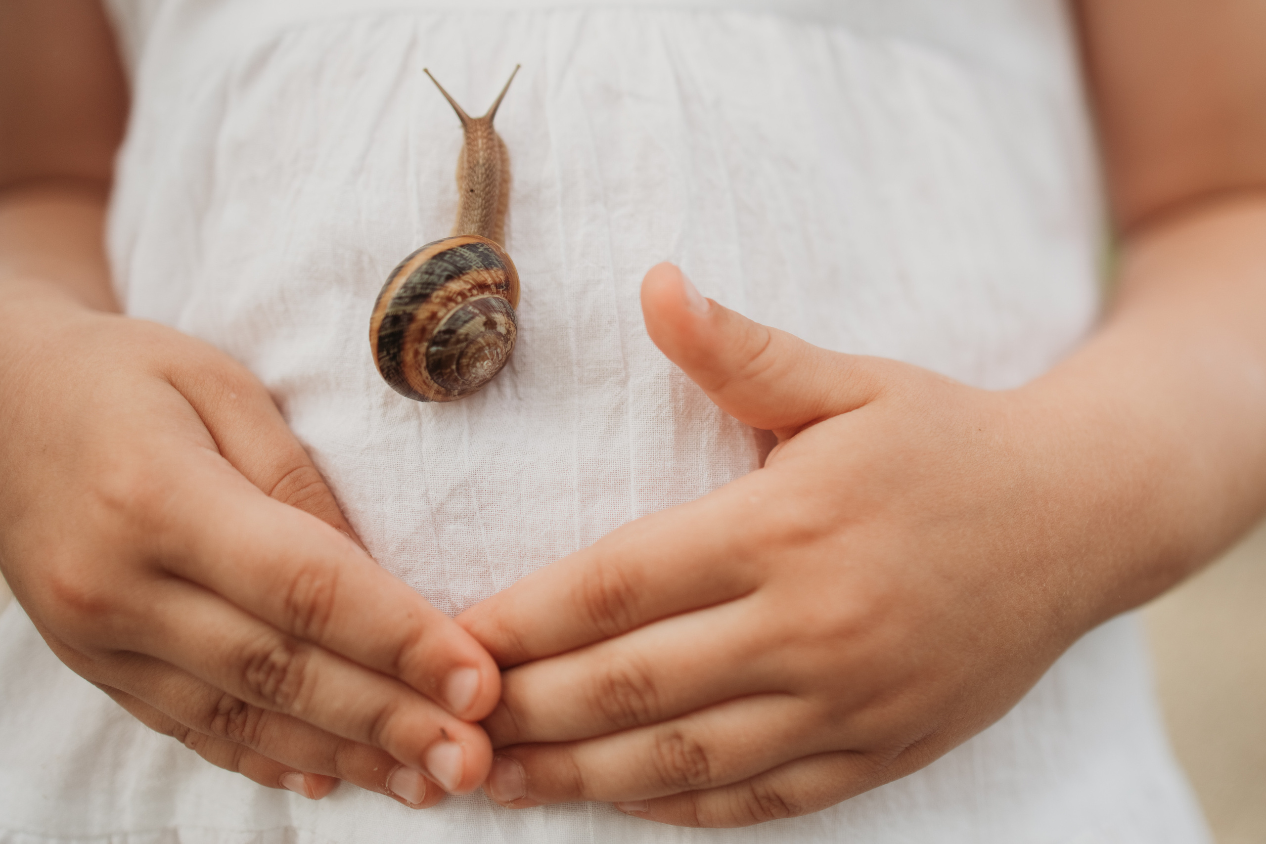 Семейная прогулка по плантациям. Фотограф Сочи Татьяна Зорина