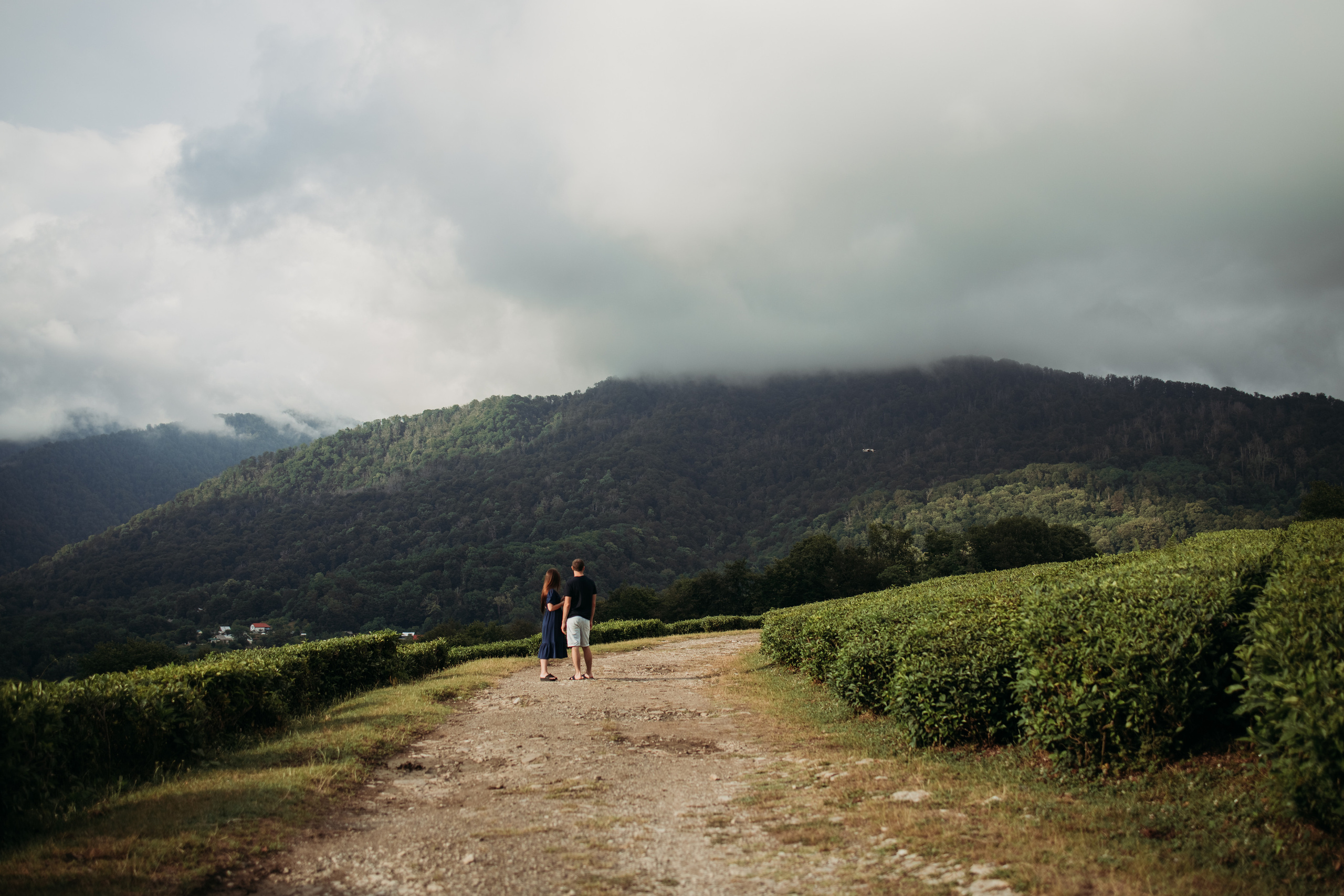 Алина и Женя. Фотограф Сочи Татьяна Зорина