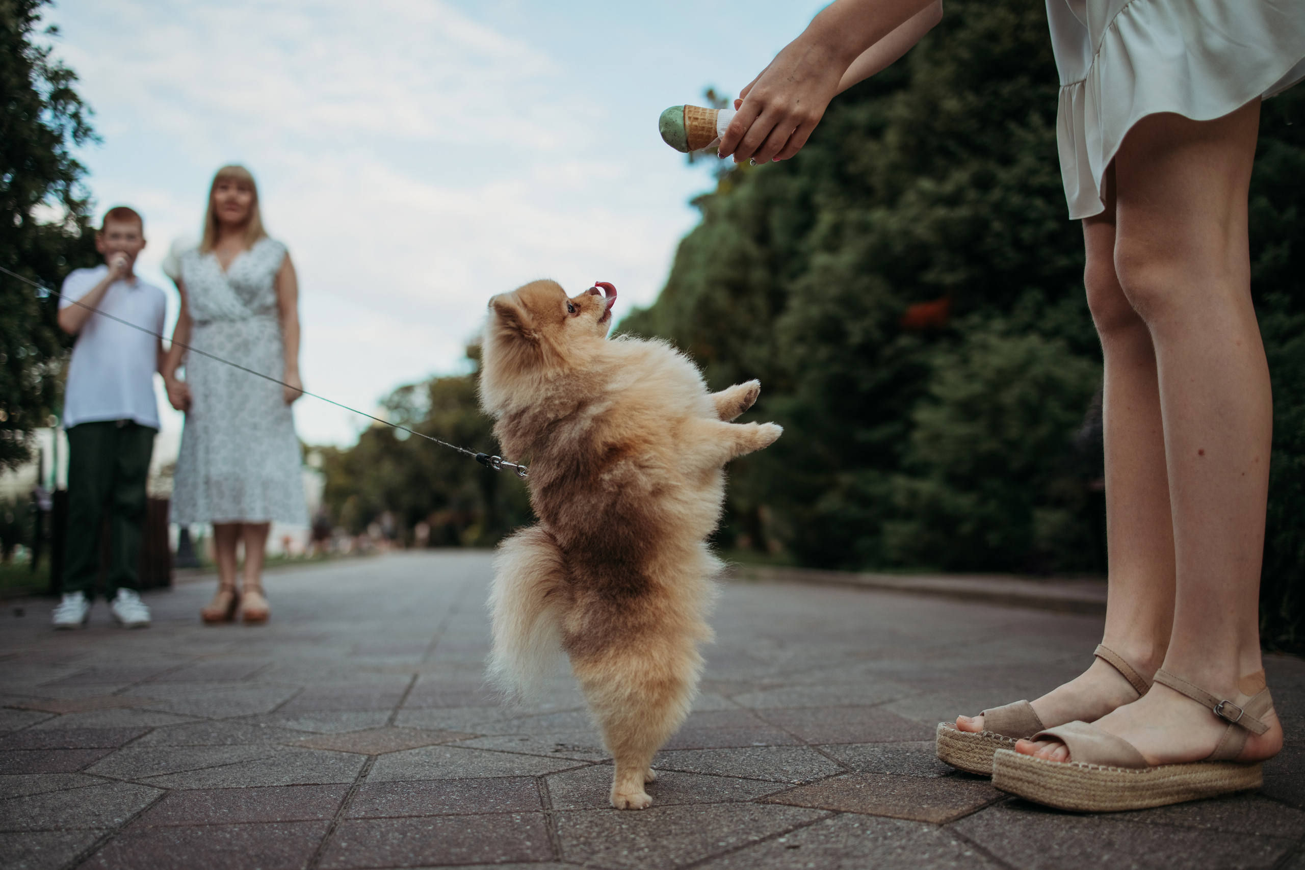 Семейные съёмки Сочи, Семейная фотосессия Сочи. Фотограф Сочи Татьяна Зорина