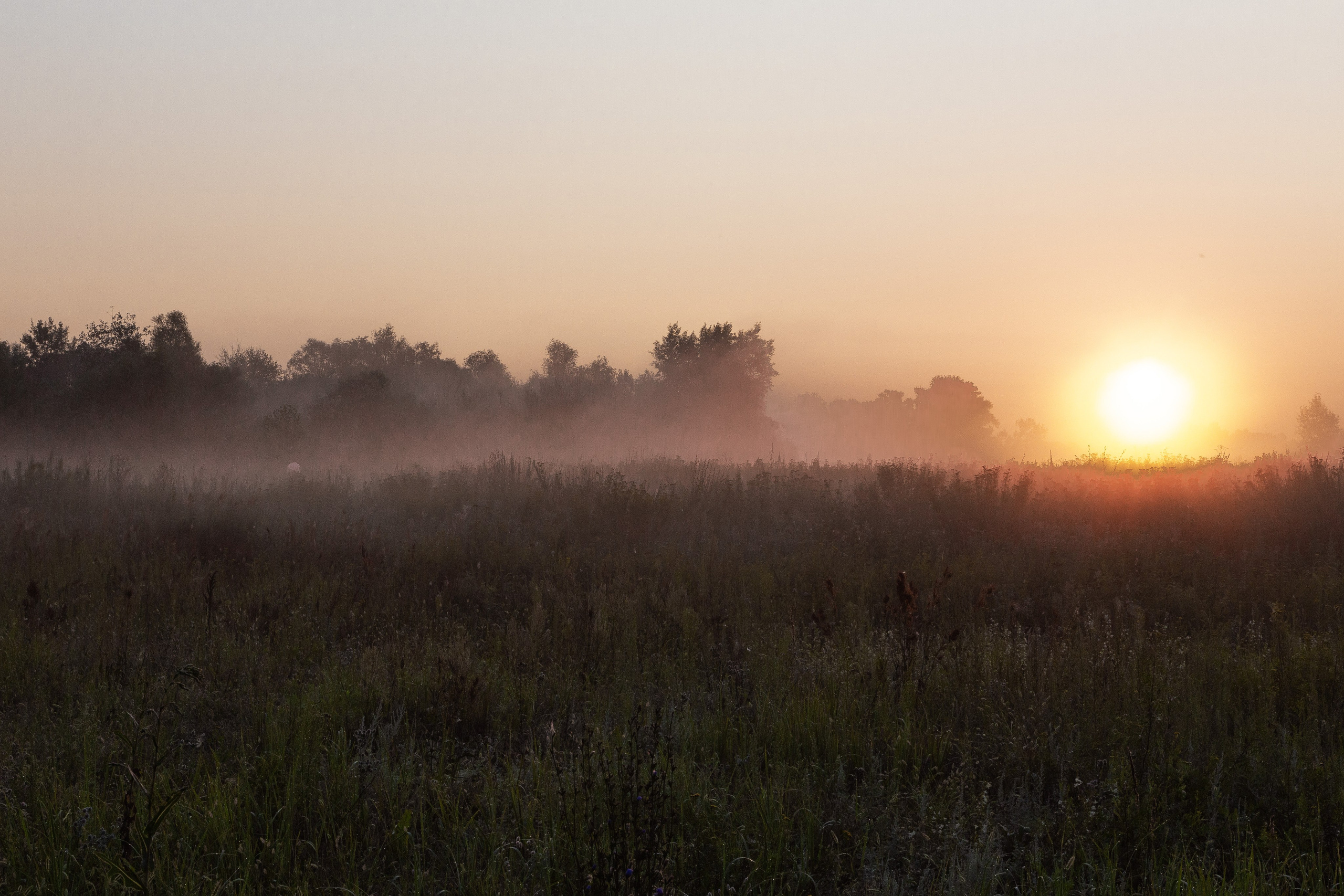 Пейзаж. OneSnap