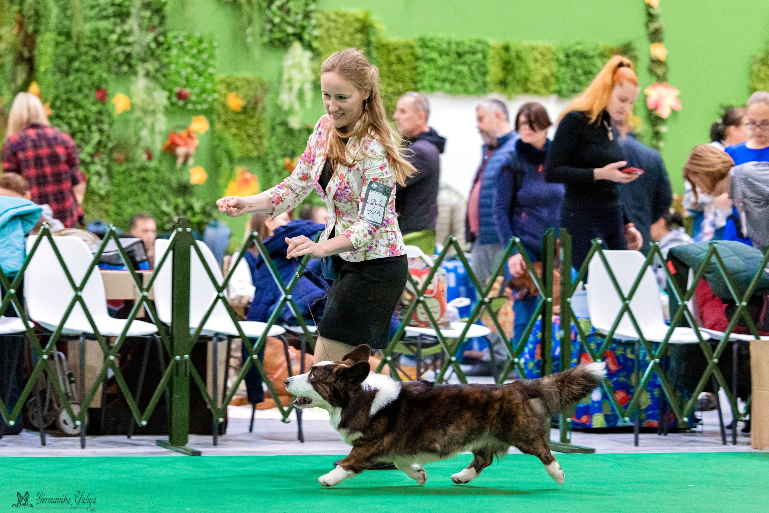 Сфера 29.10,Крокус 4.11,Сфера 12.11.2023. Фотограф-анималист Юлия Германика