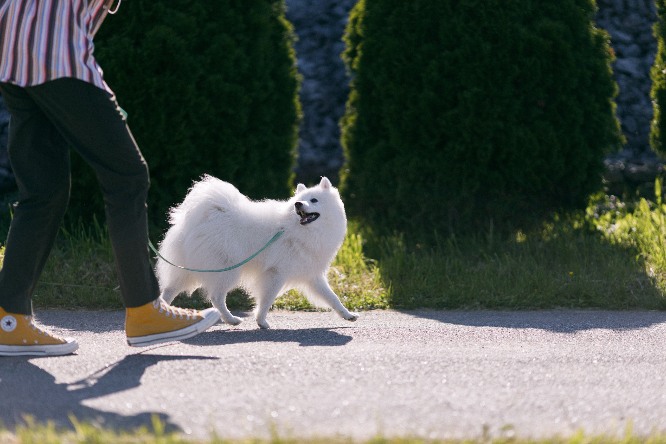 Евгений и Дарья. Свадебный и репортажный фотограф в Санкт-Петербурге Николай Голованов