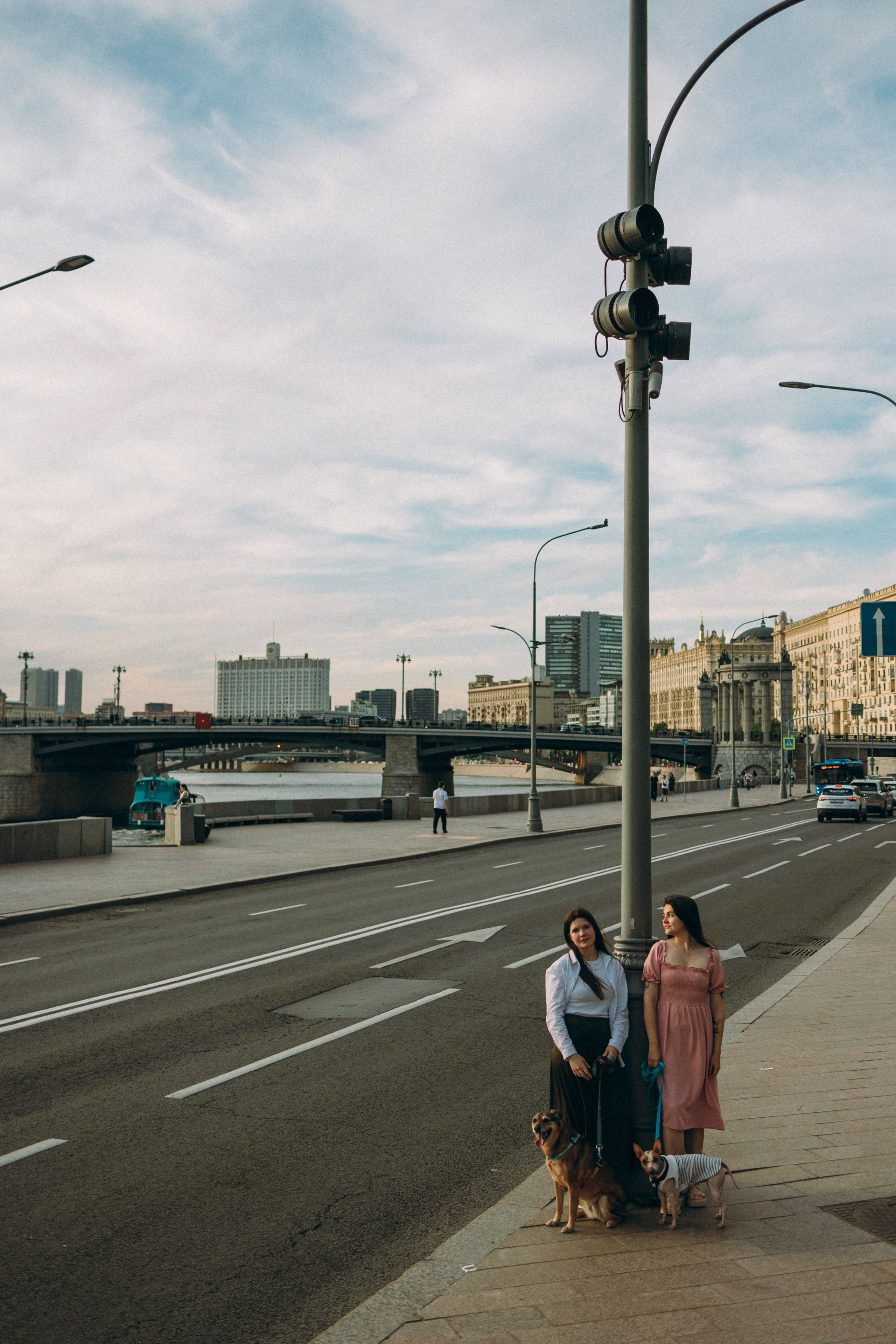 Глаша, Айрон, Ксюша и Оля. Фотограф анималист Анастасия Пикей