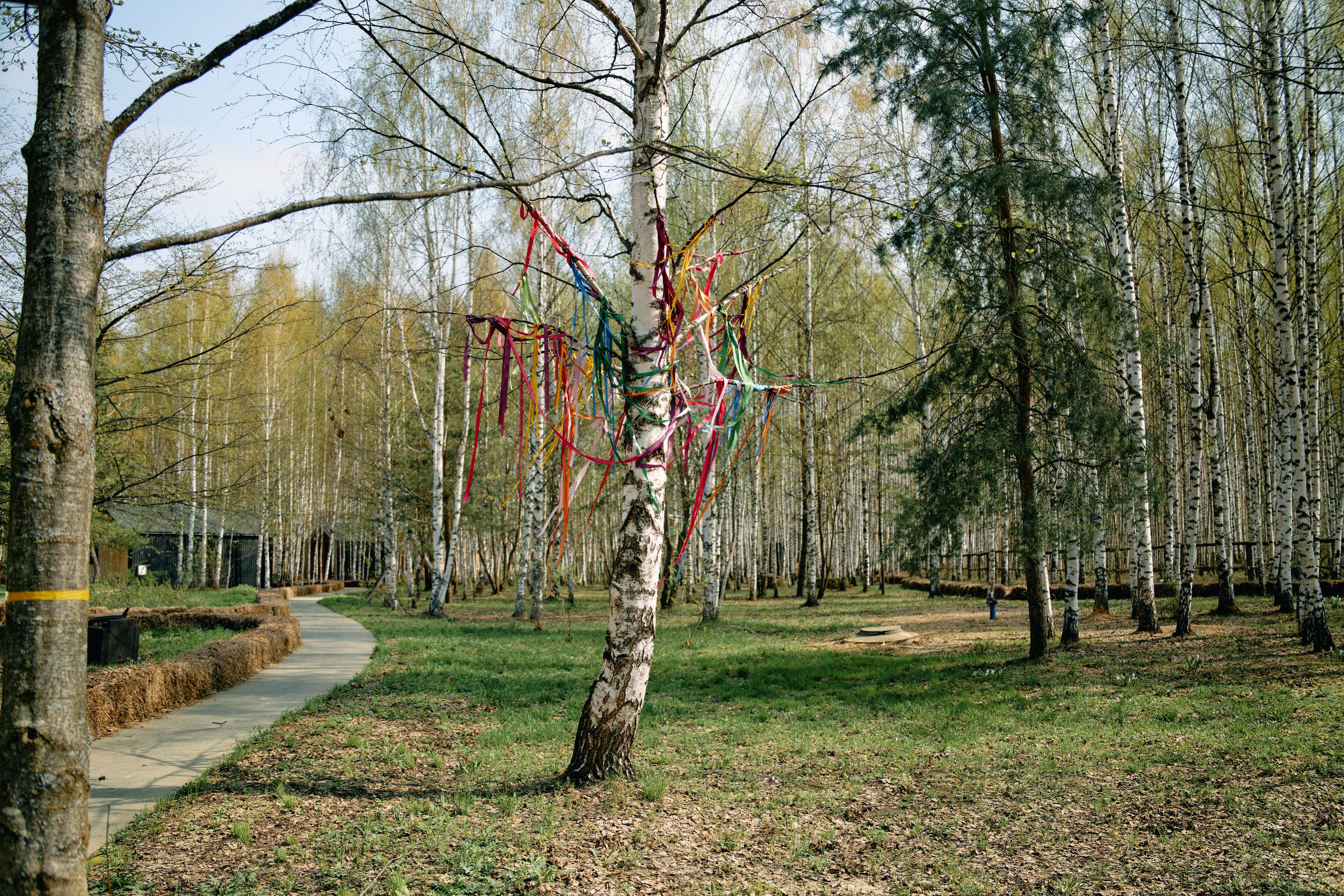 Бутик-отель Поле летом. Профессиональный Фотограф во Владимире, в Москве и в Суздале — Полина Романычева
