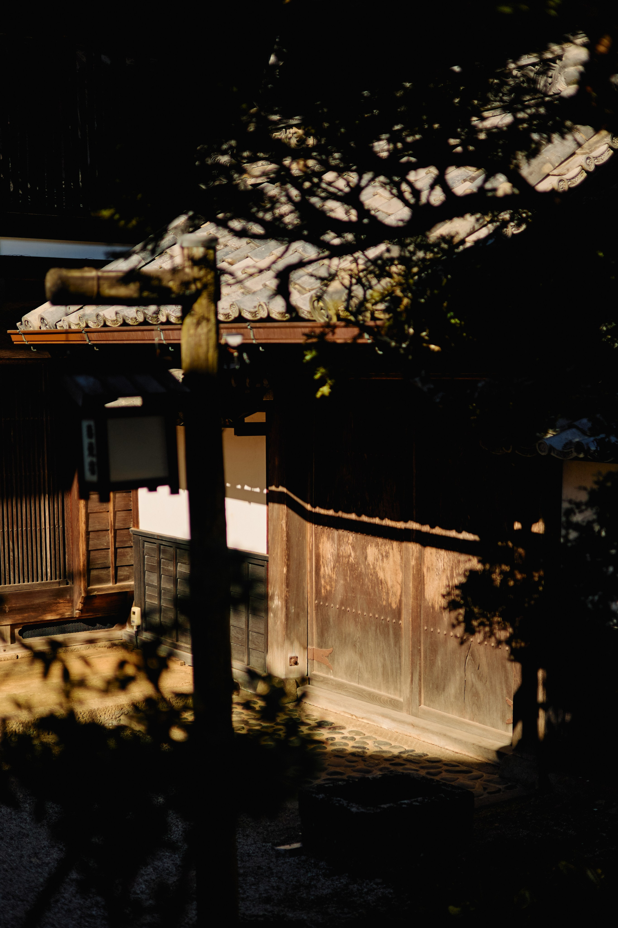 Япония. Профессиональный Фотограф во Владимире, в Москве и в Суздале — Полина Романычева