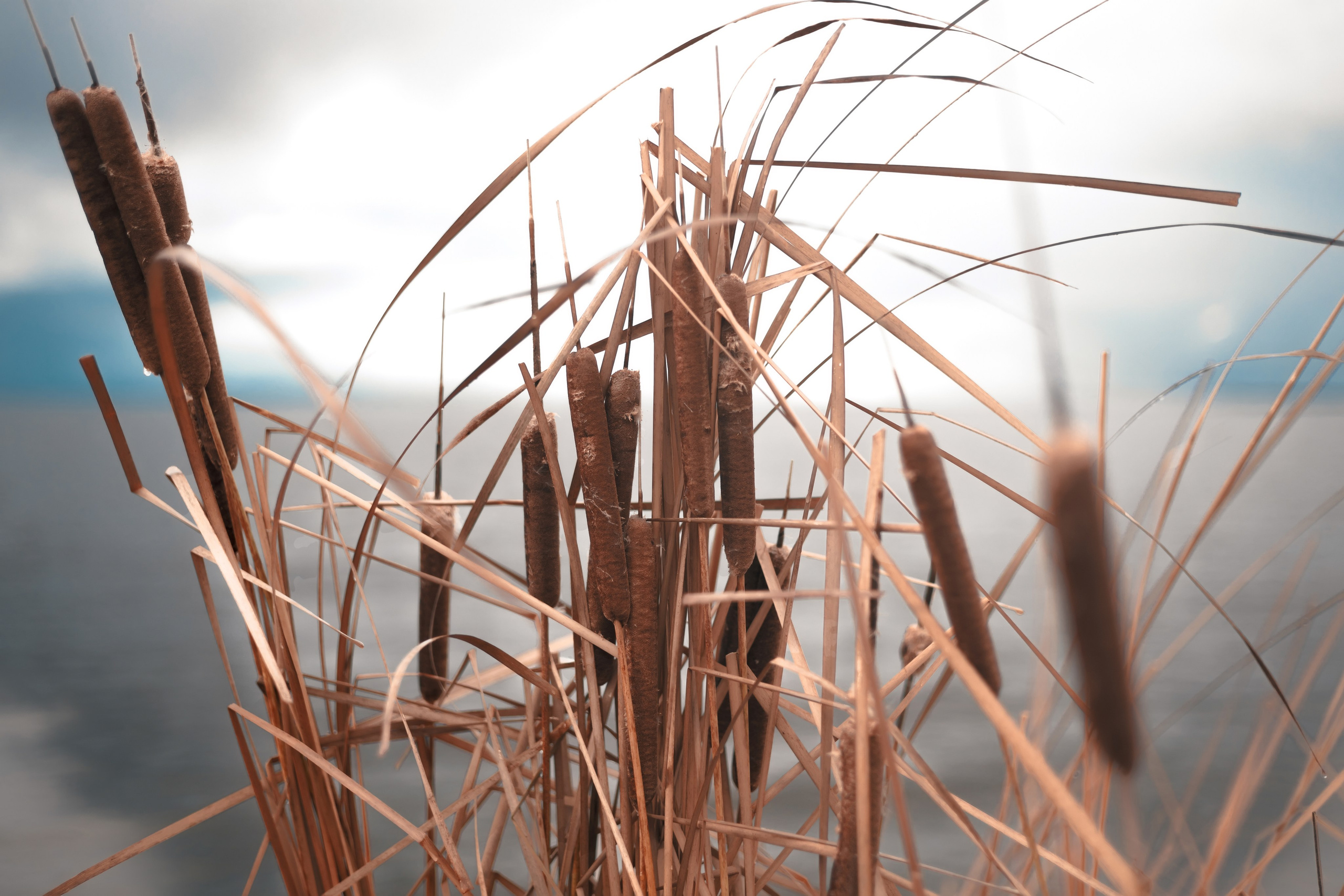 1-й Северный форт Кронштадт