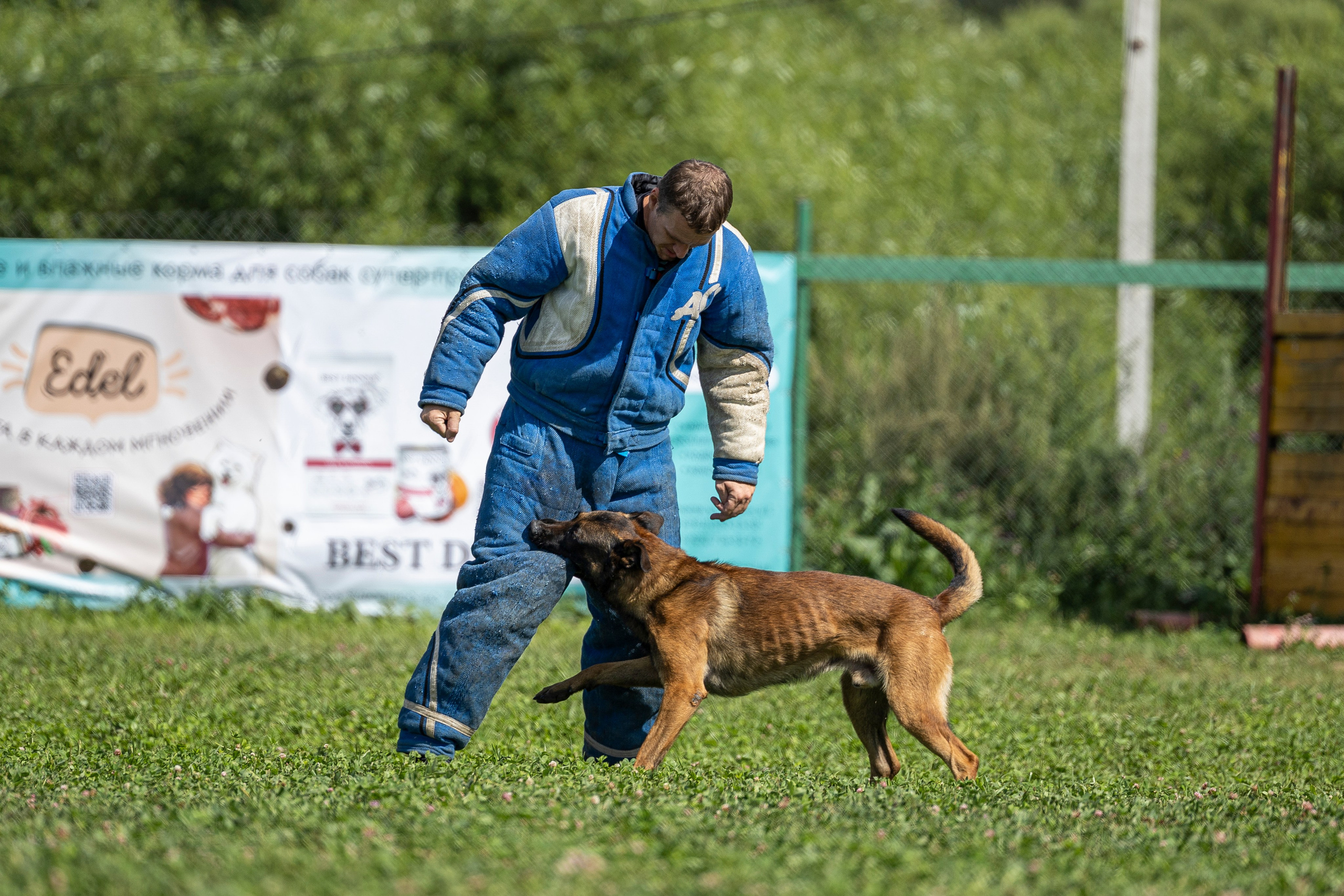 Соревнования по Мондьорингу г. Вологда 10-11.08.2024. Фотограф-анималист Анна Маринич