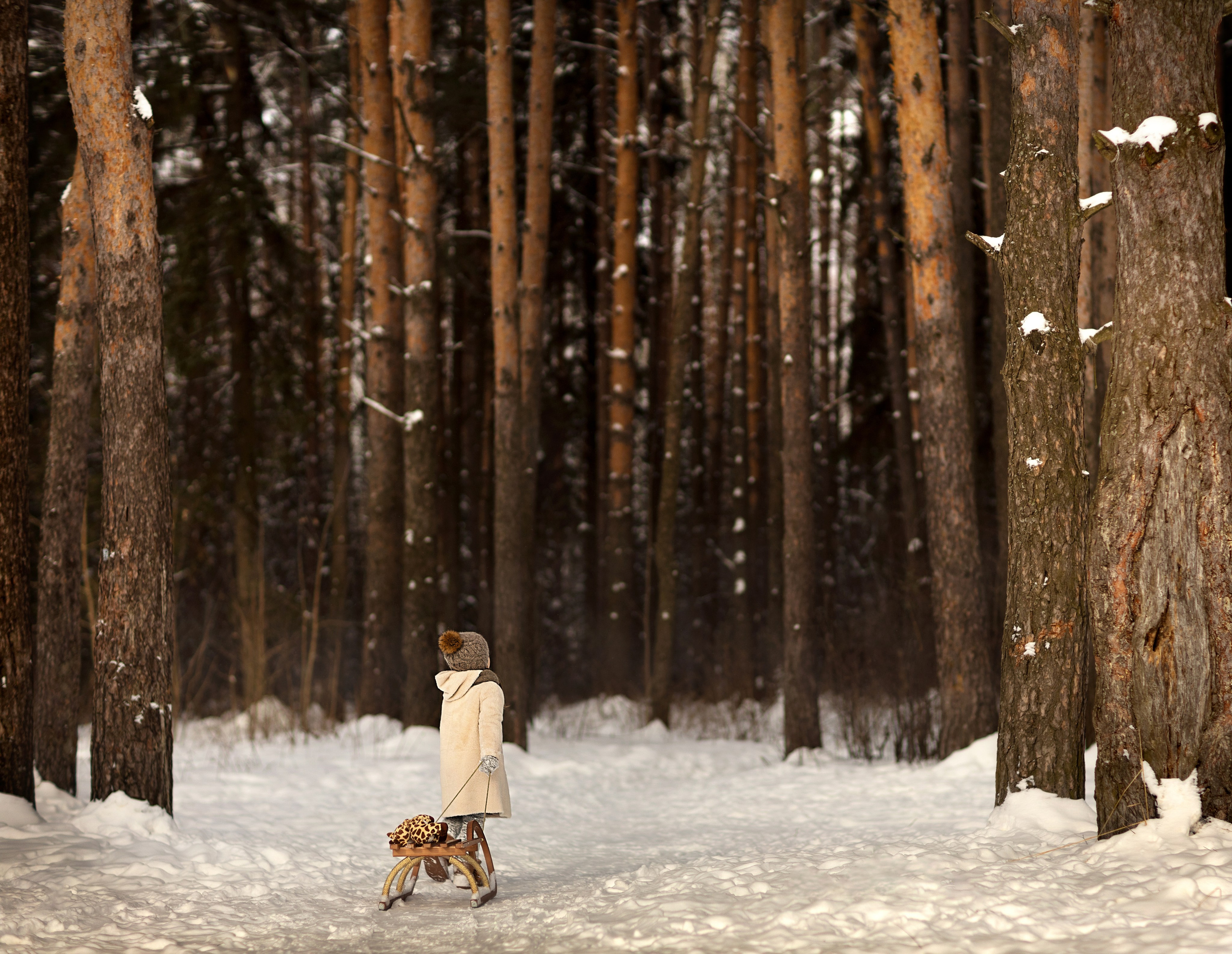 Фотосъемка на природе. Фотограф Анна Латыпова г. Клин