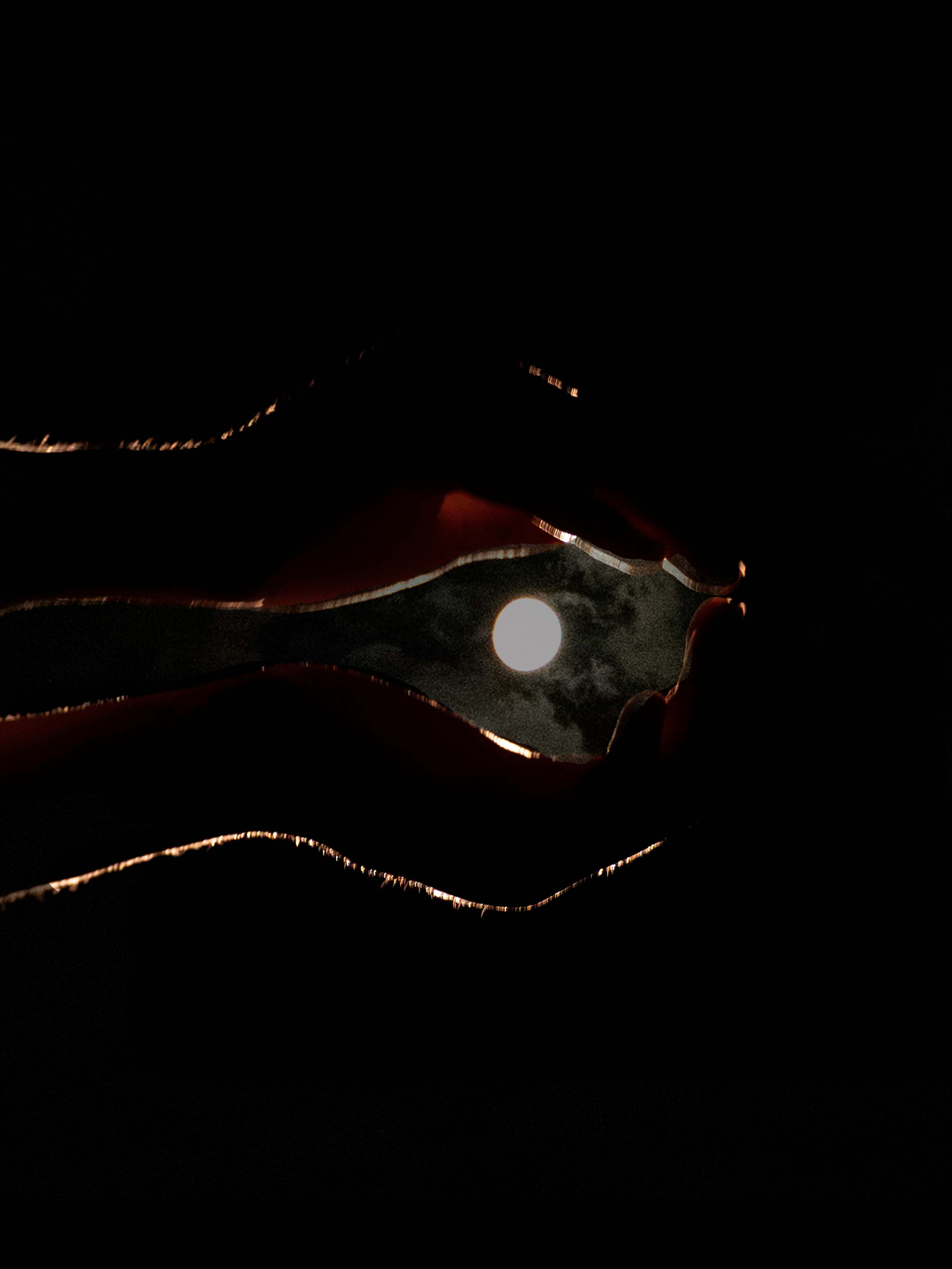 UNUSUAL. Меня зовут ОЛЬГА. Я ПЕРСОНАЛЬНЫЙ ФОТОГРАФ, МОСКВА