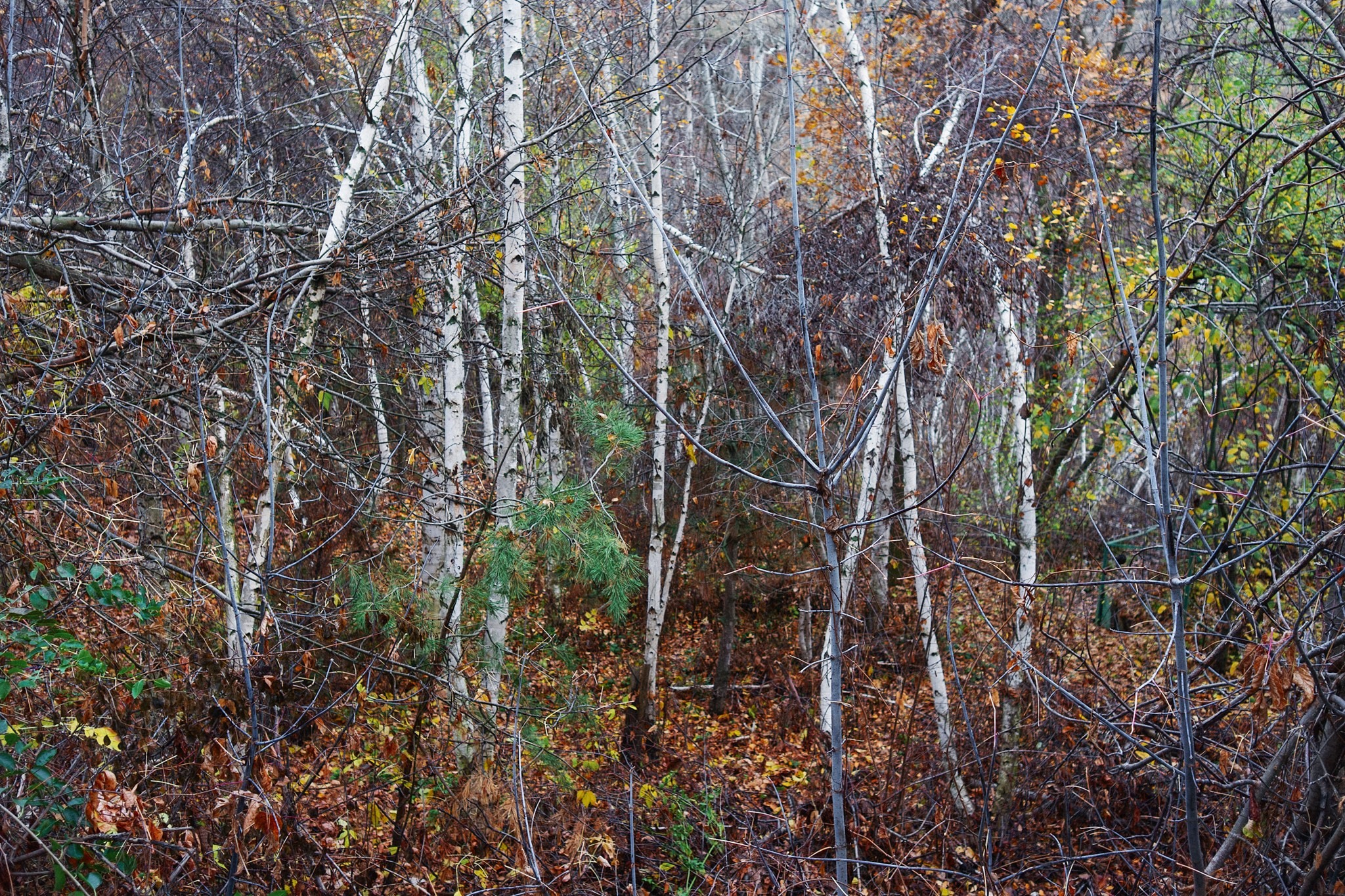 No title. Андрей Сливенко. Свадебный фотограф и видеограф в Волгодонске и Ростове-на-Дону