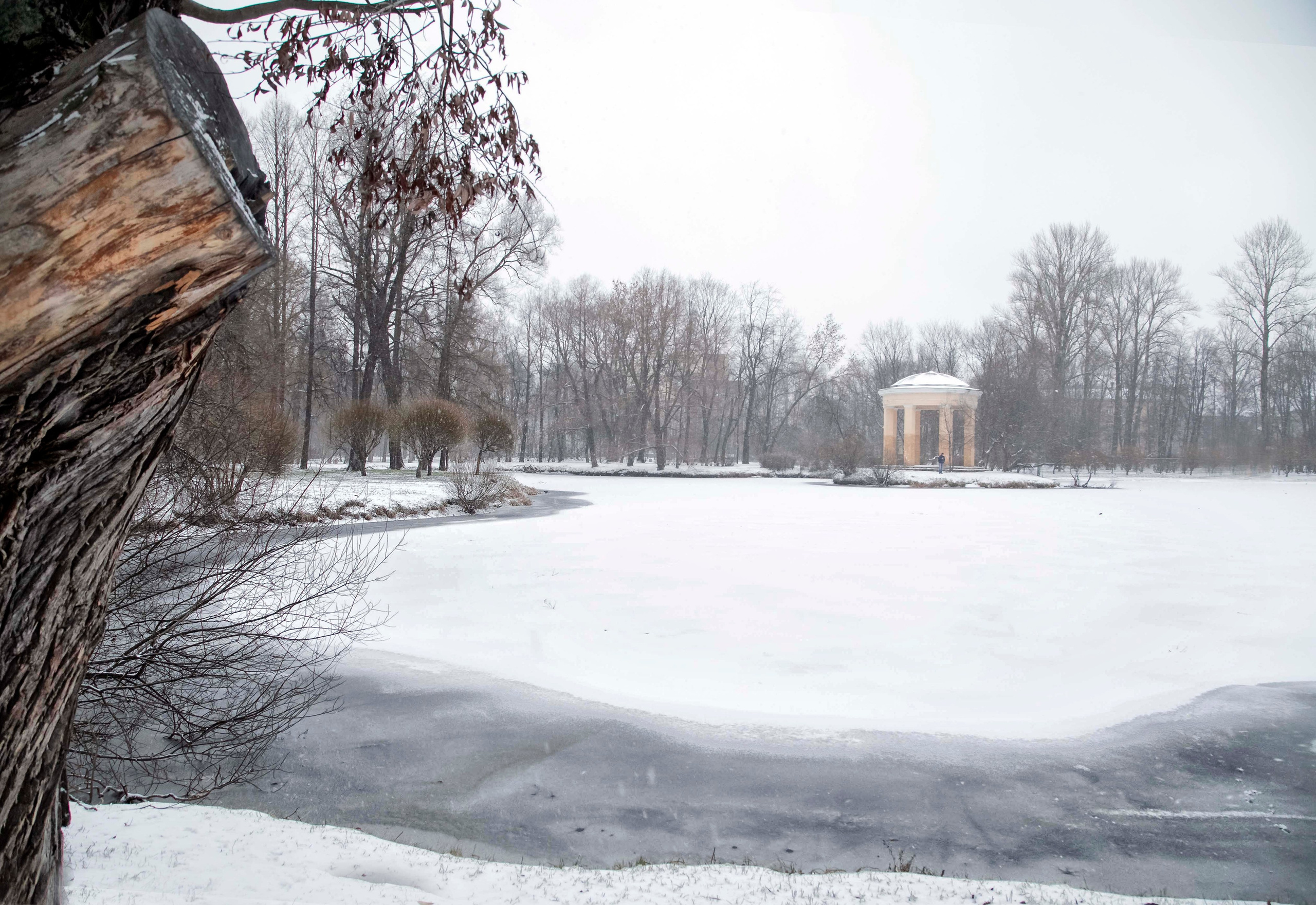 Ника. Семейный и детский фотограф в Санкт-Петербург. Natalia Fadel