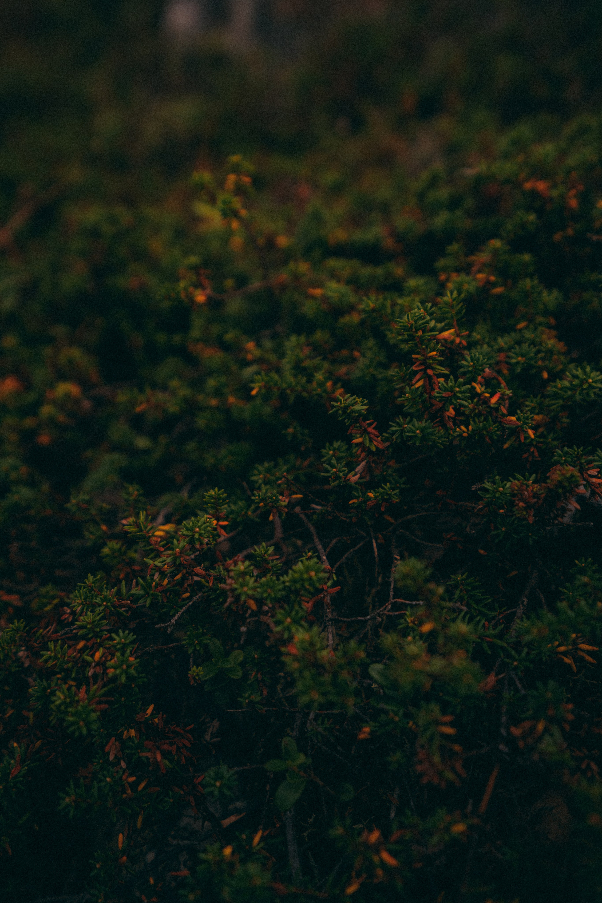 Мурманск. Фотограф Алиса Аспер