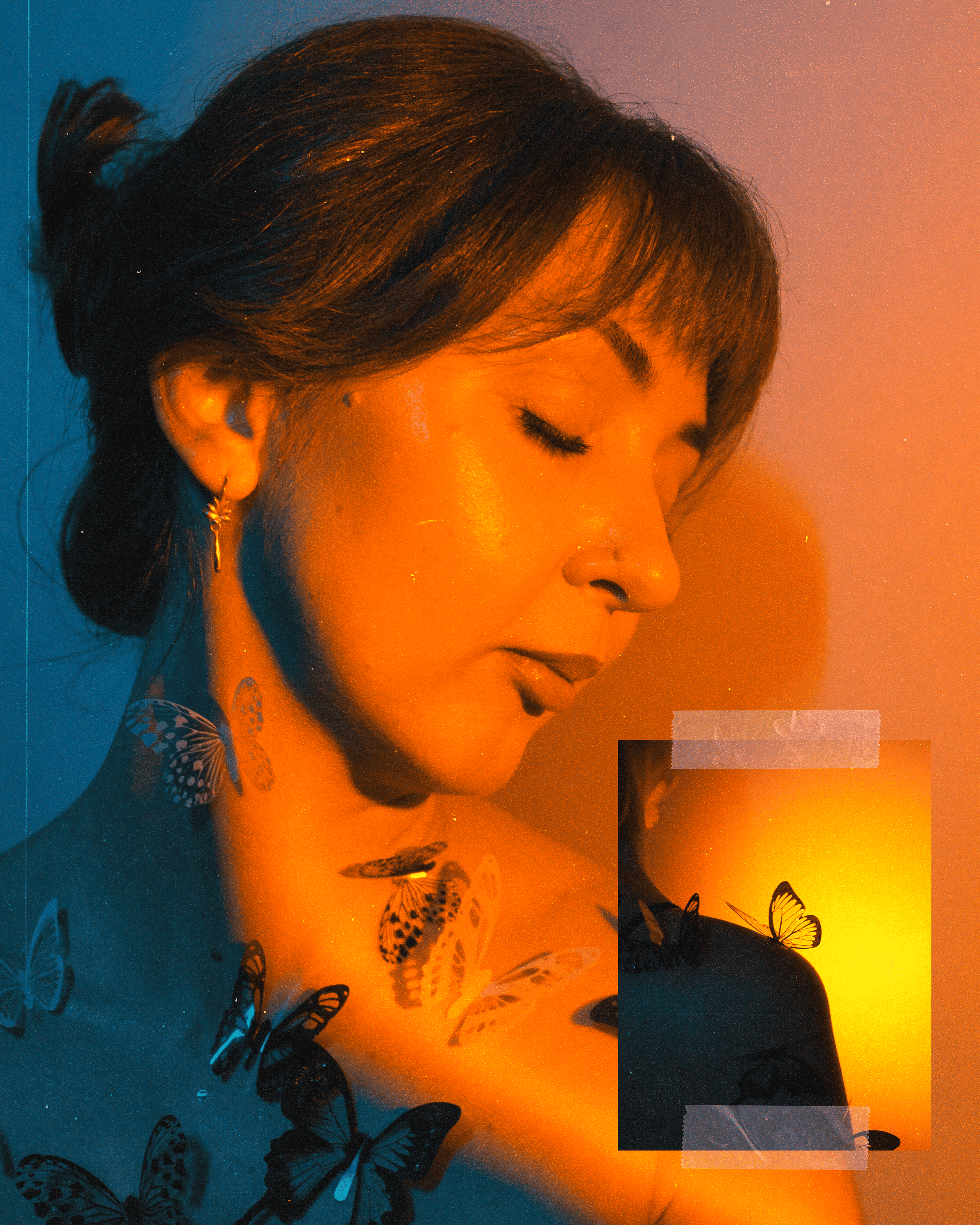 Бабочки. Фотограф Алиса Аспер