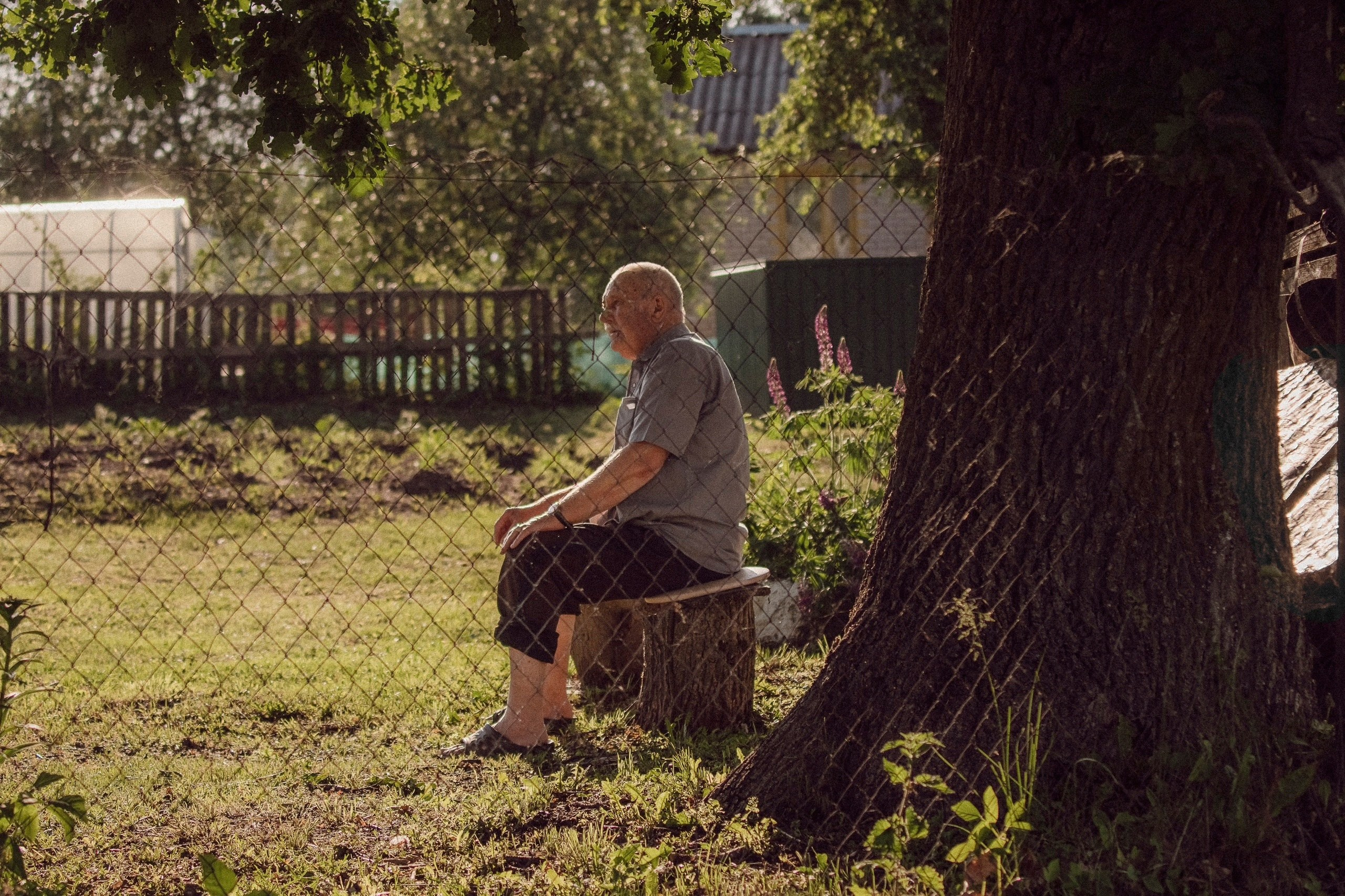 Цветные фотографии. Фотографии Лены Соколовой