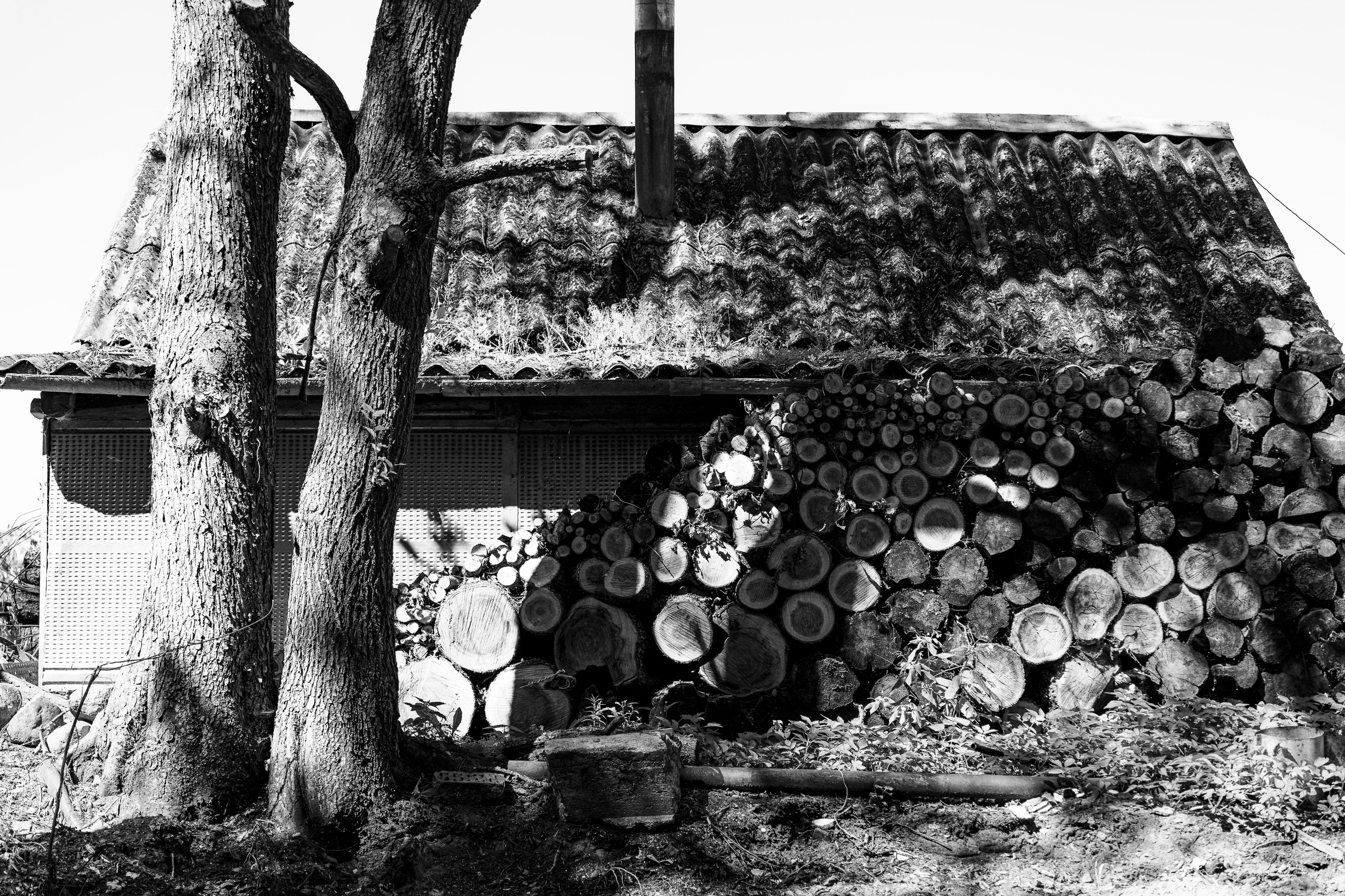 Ч.б. фотографии. Фотографии Лены Соколовой