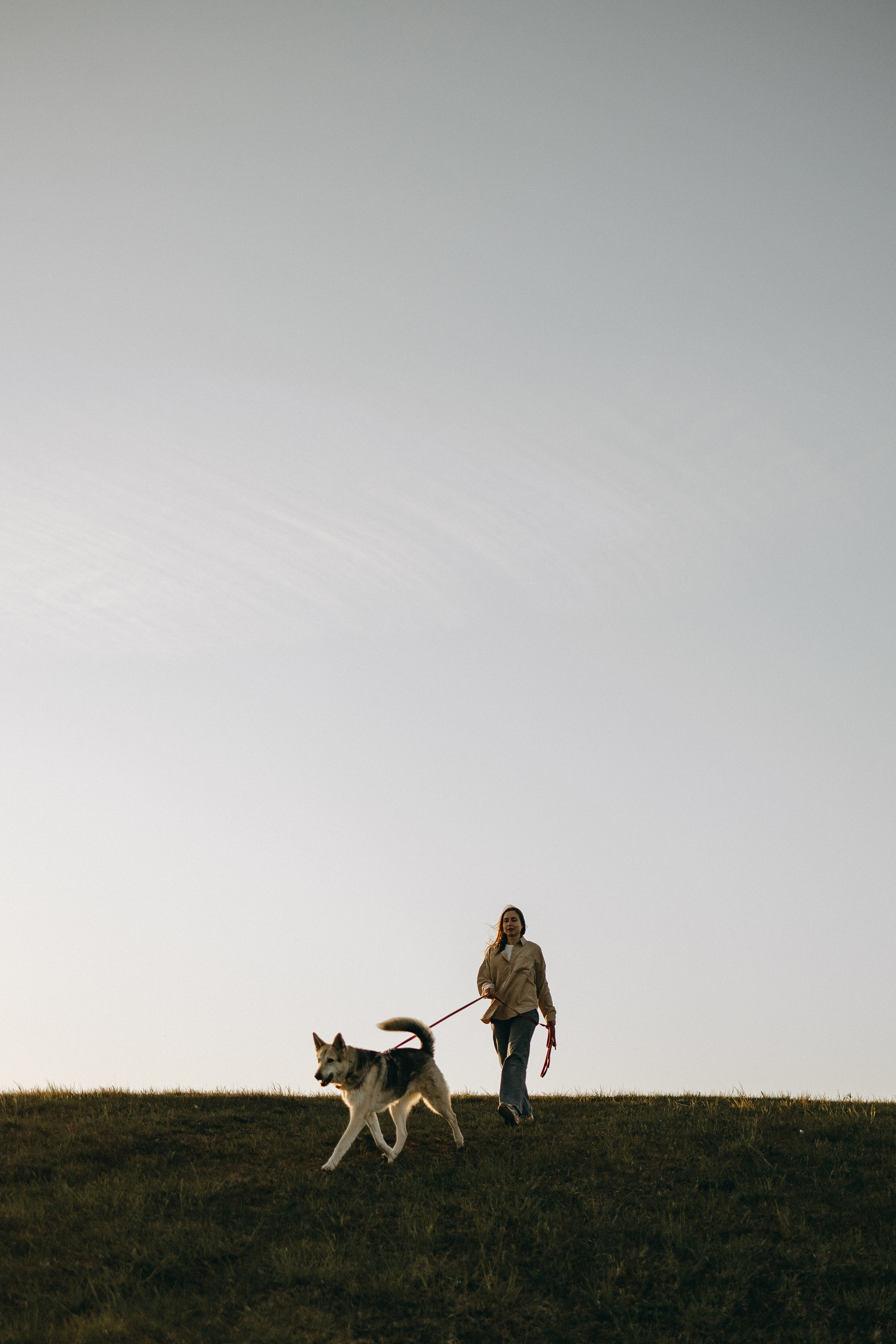 Саша и Зельда. Фотограф — Анималист | Санкт-Петербург