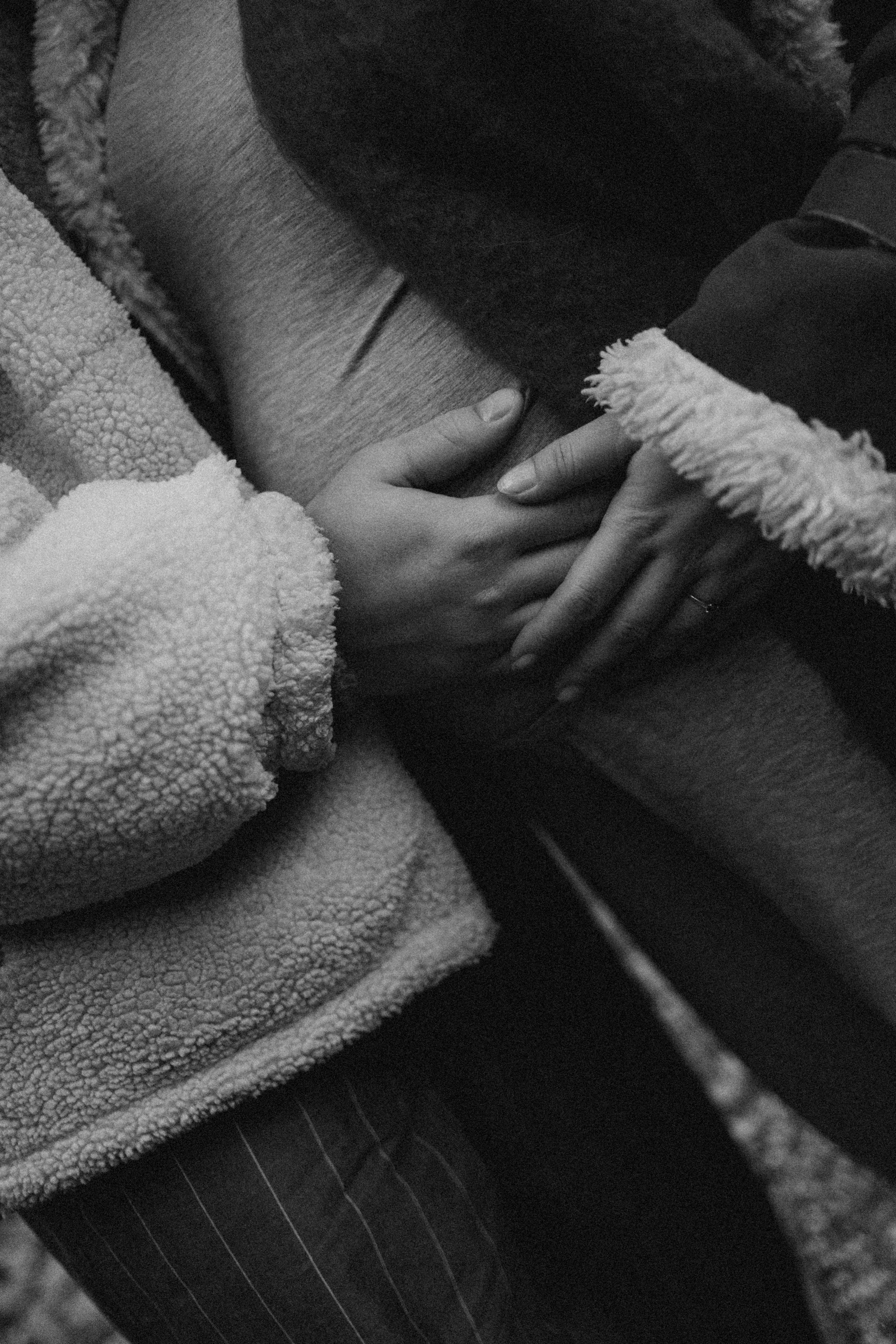 Вегас, Веник и их семья. Фотограф — Анималист | Санкт-Петербург