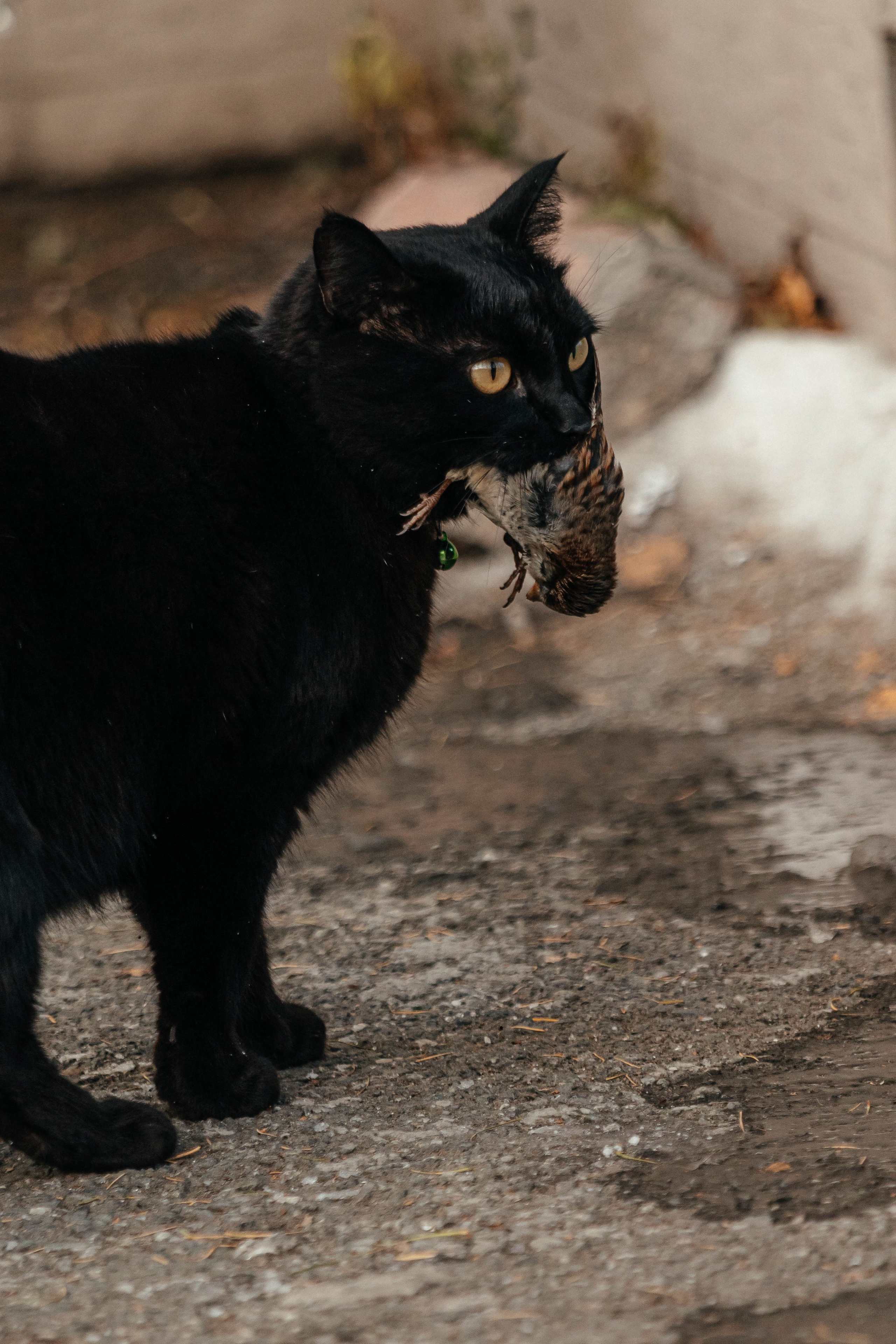 UrbanRothkoStreet. Street photographer