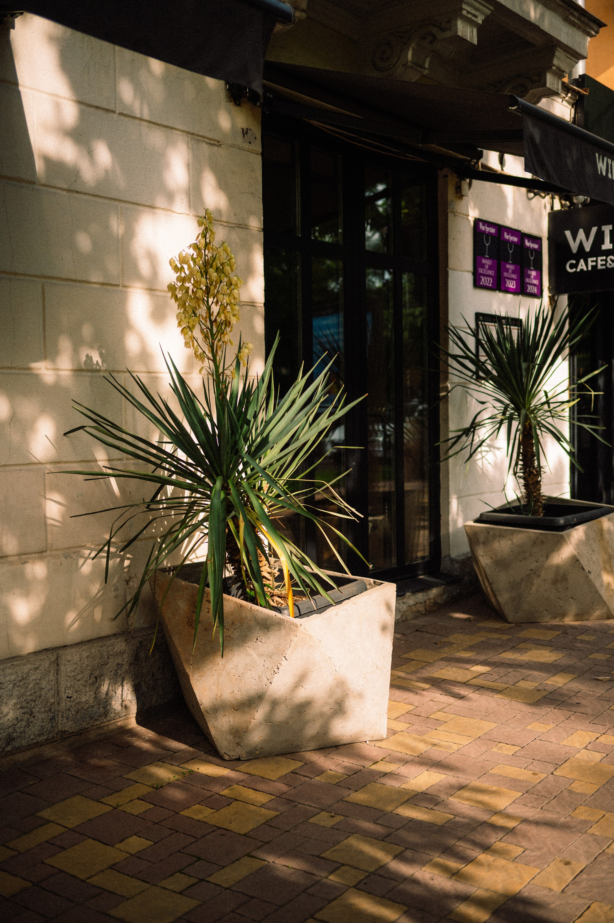 Стрит: Алматы, лето 2025. Фотограф в Алматы — Дарья Фёдорова