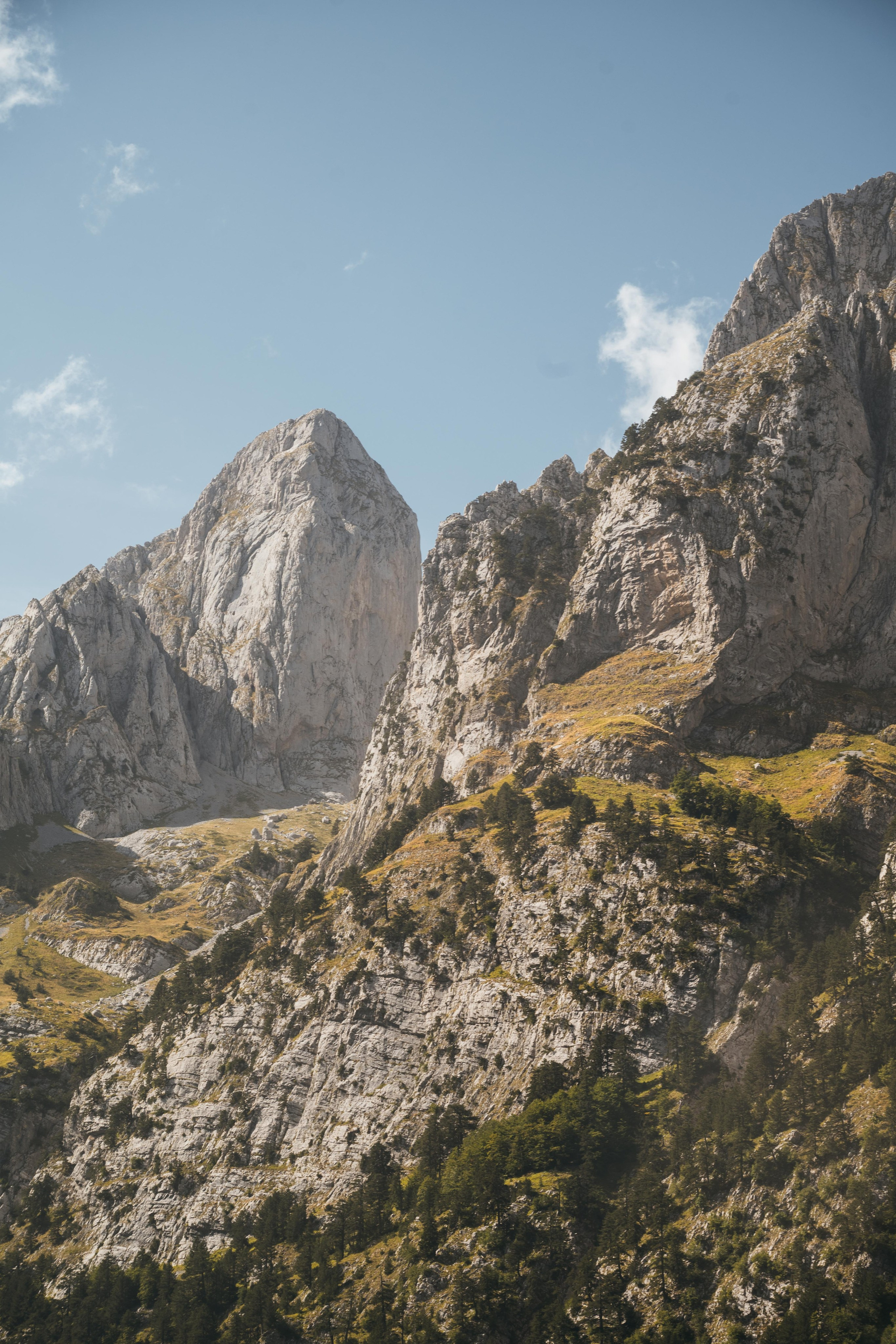 ДОЛИНА РАПОЯНА. ЧЕРНОГОРИЯ. Фотограф в Белграде Чугреева Елена