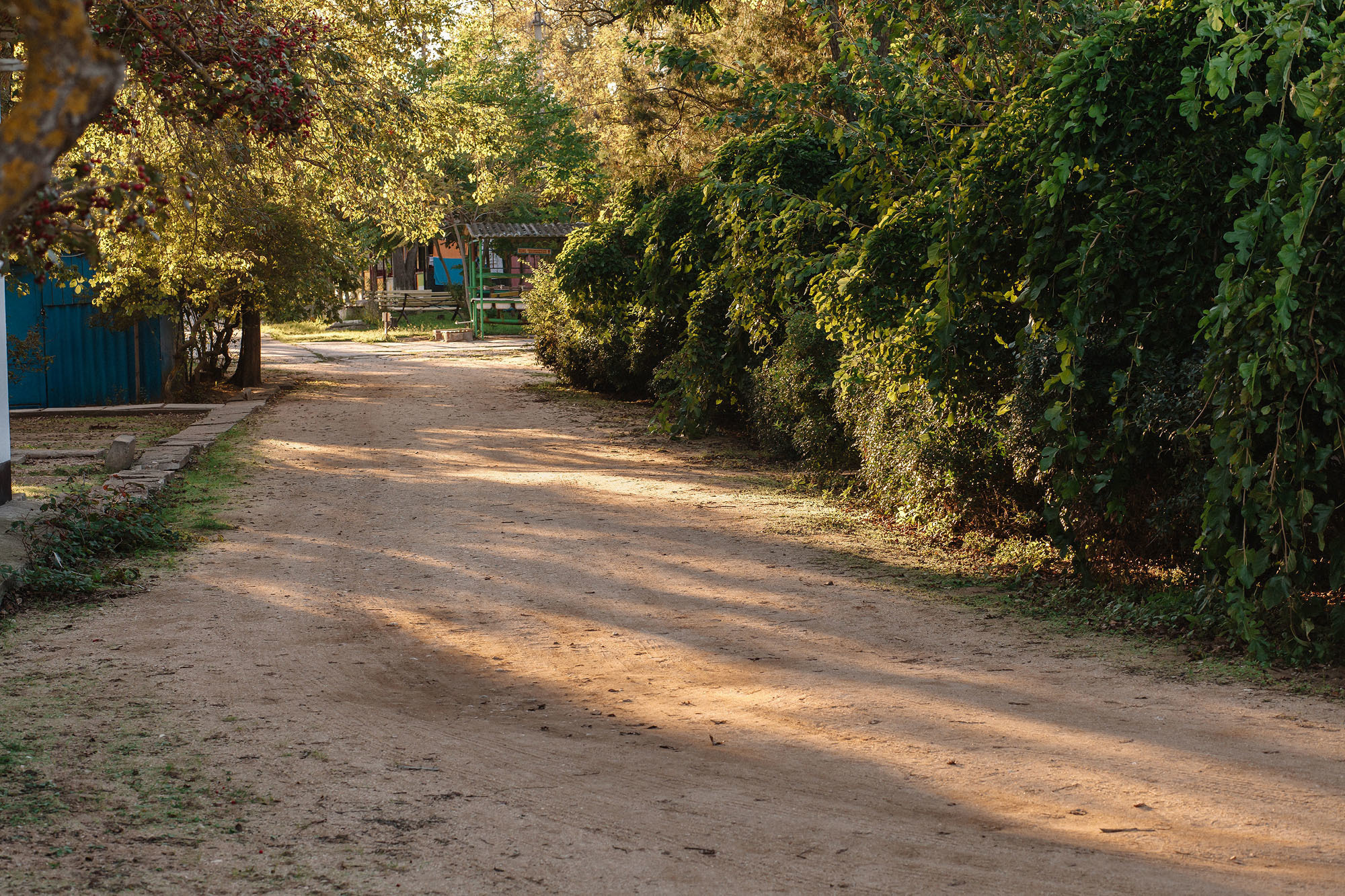 Керчь. Семейный и свадебный фотограф в Майкопе Михаил Мартиросян