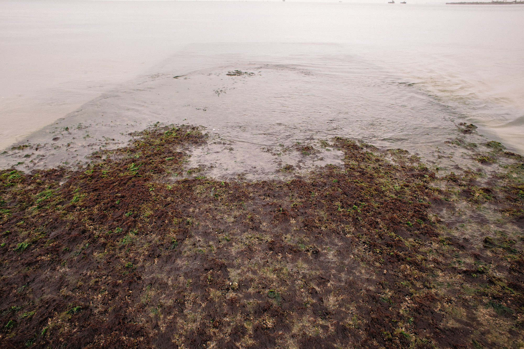 Керчь. Семейный и свадебный фотограф в Майкопе Михаил Мартиросян
