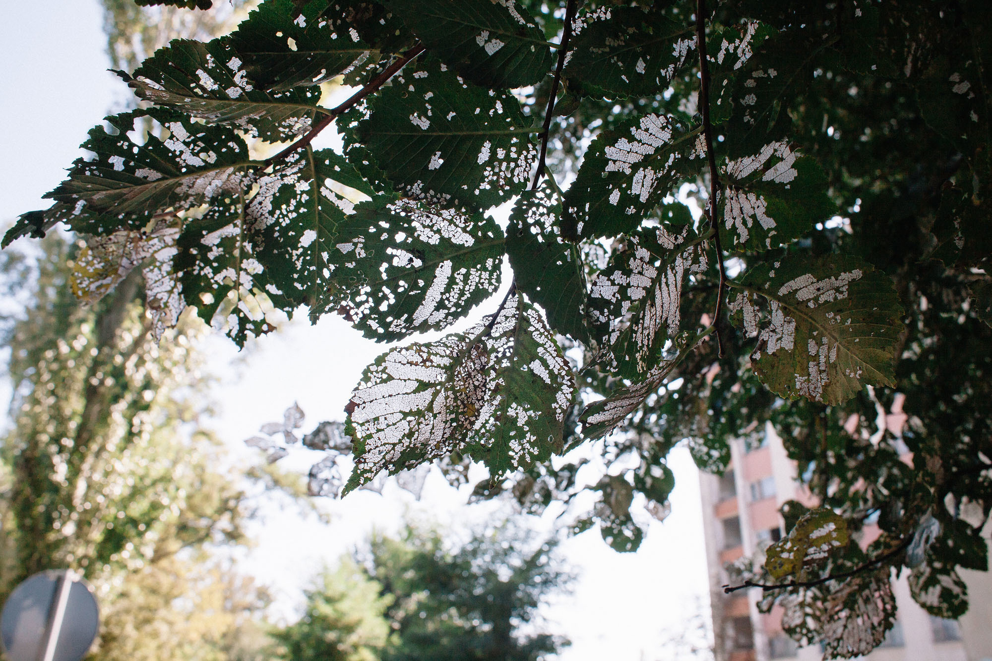 Керчь. Семейный и свадебный фотограф в Майкопе Михаил Мартиросян