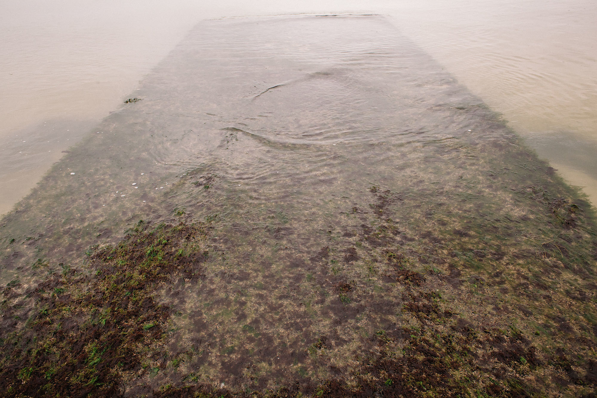 Керчь. Семейный и свадебный фотограф в Майкопе Михаил Мартиросян