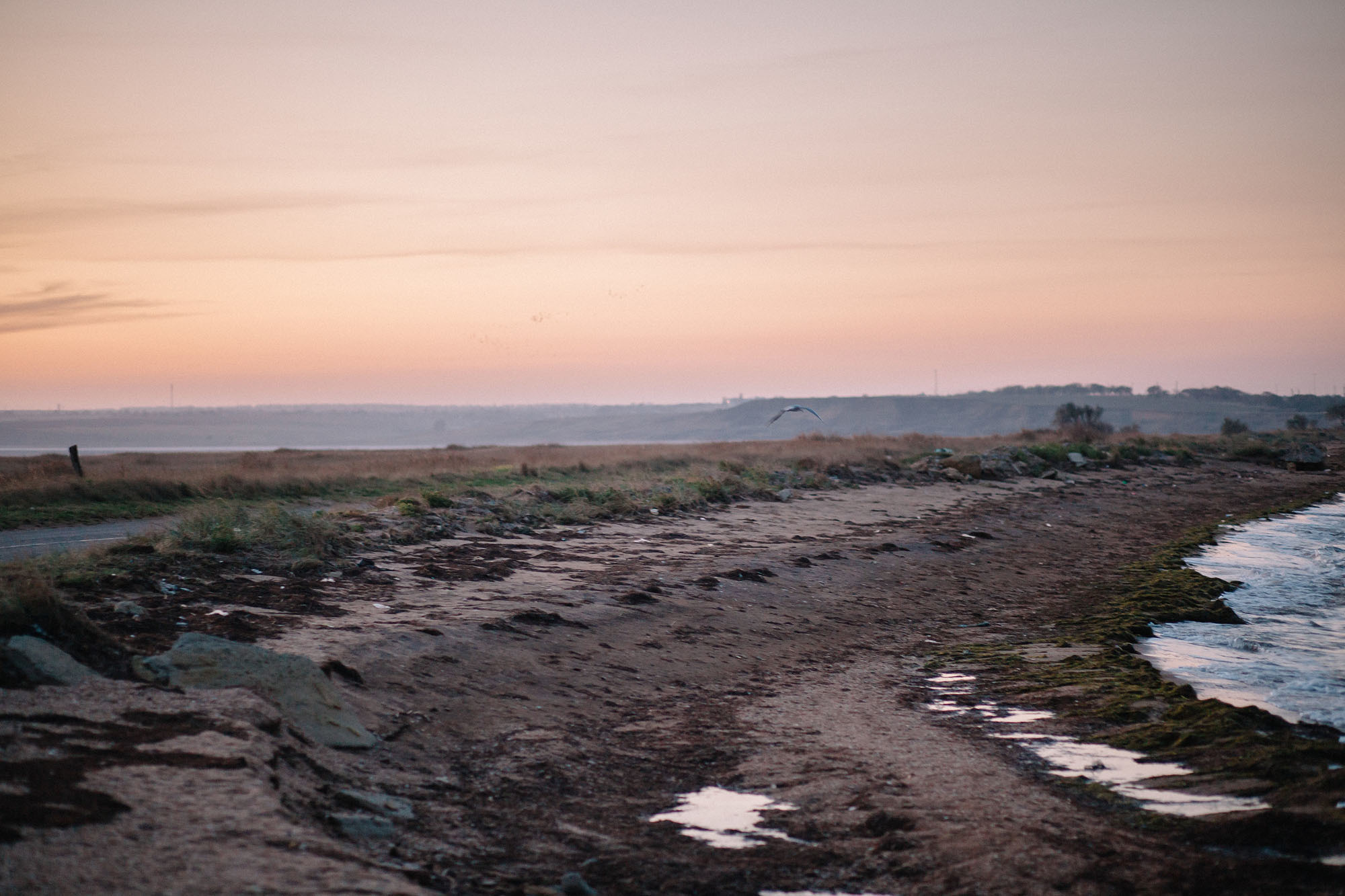 Керчь. Семейный и свадебный фотограф в Майкопе Михаил Мартиросян