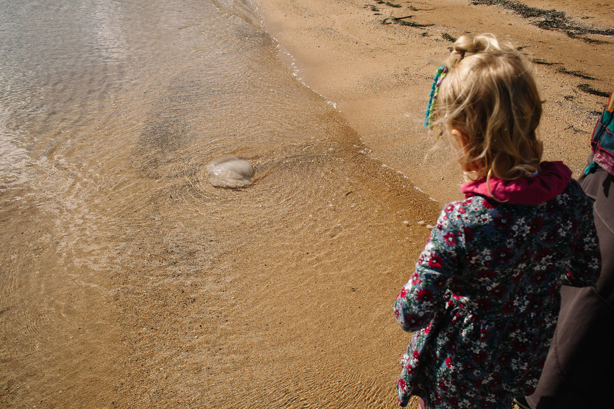 Керчь. Семейный и свадебный фотограф в Майкопе Михаил Мартиросян