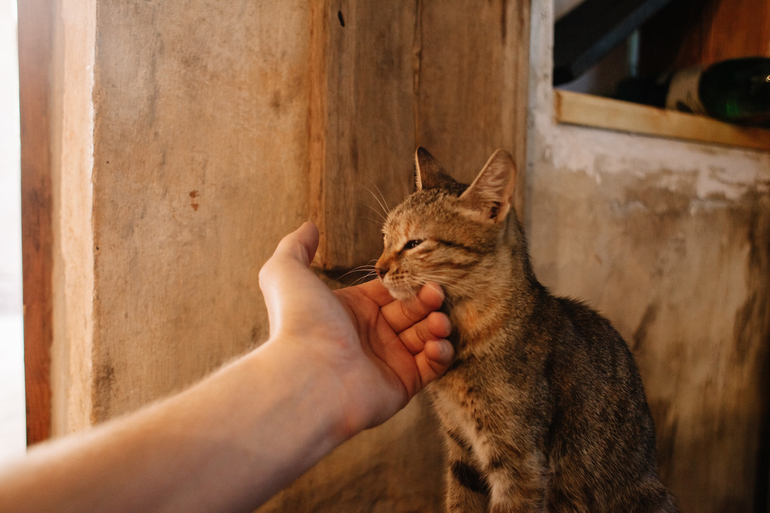 Керчь_сентябрь. Семейный и свадебный фотограф в Майкопе Михаил Мартиросян
