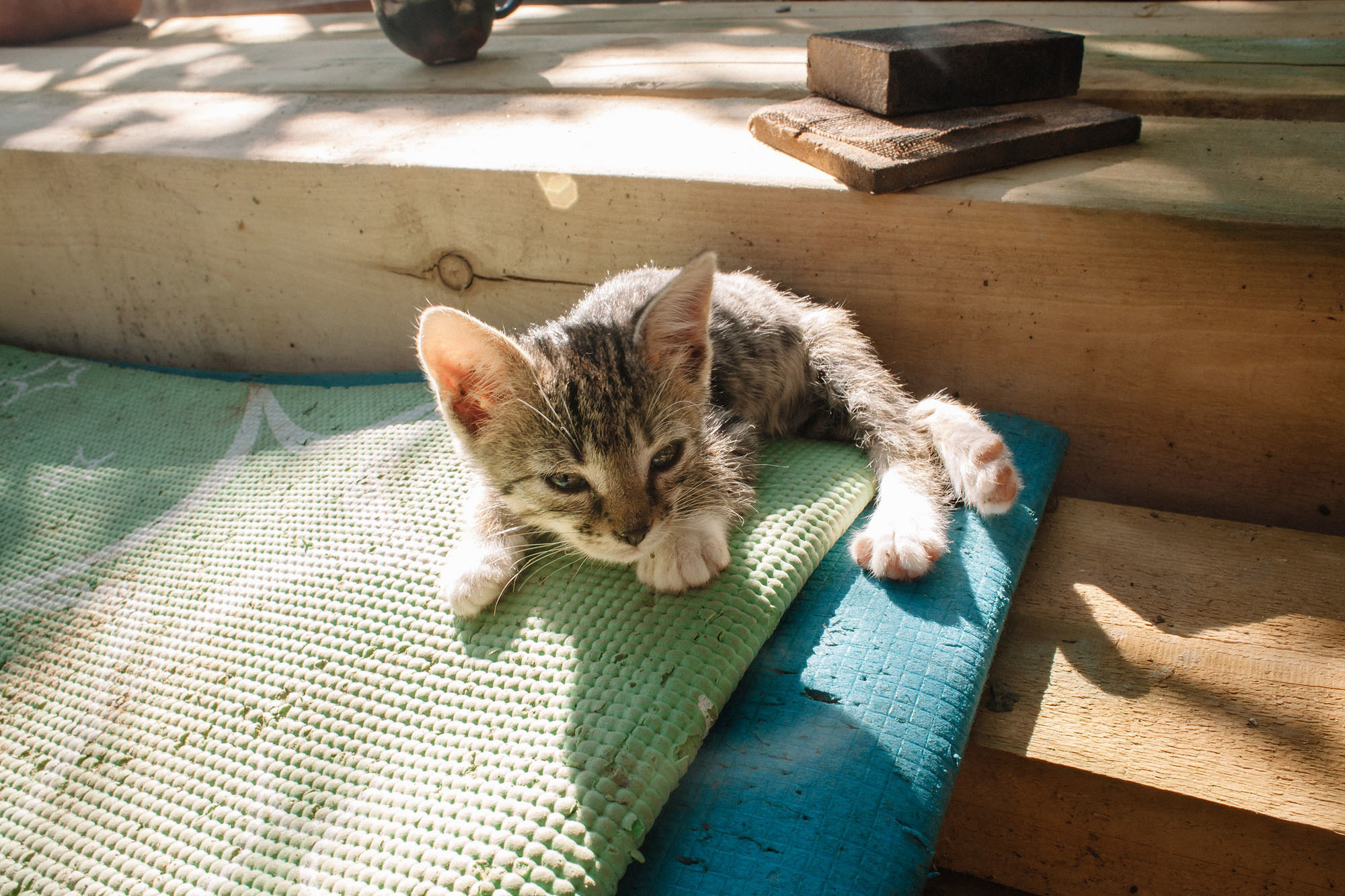 Керчь. Семейный и свадебный фотограф в Майкопе Михаил Мартиросян