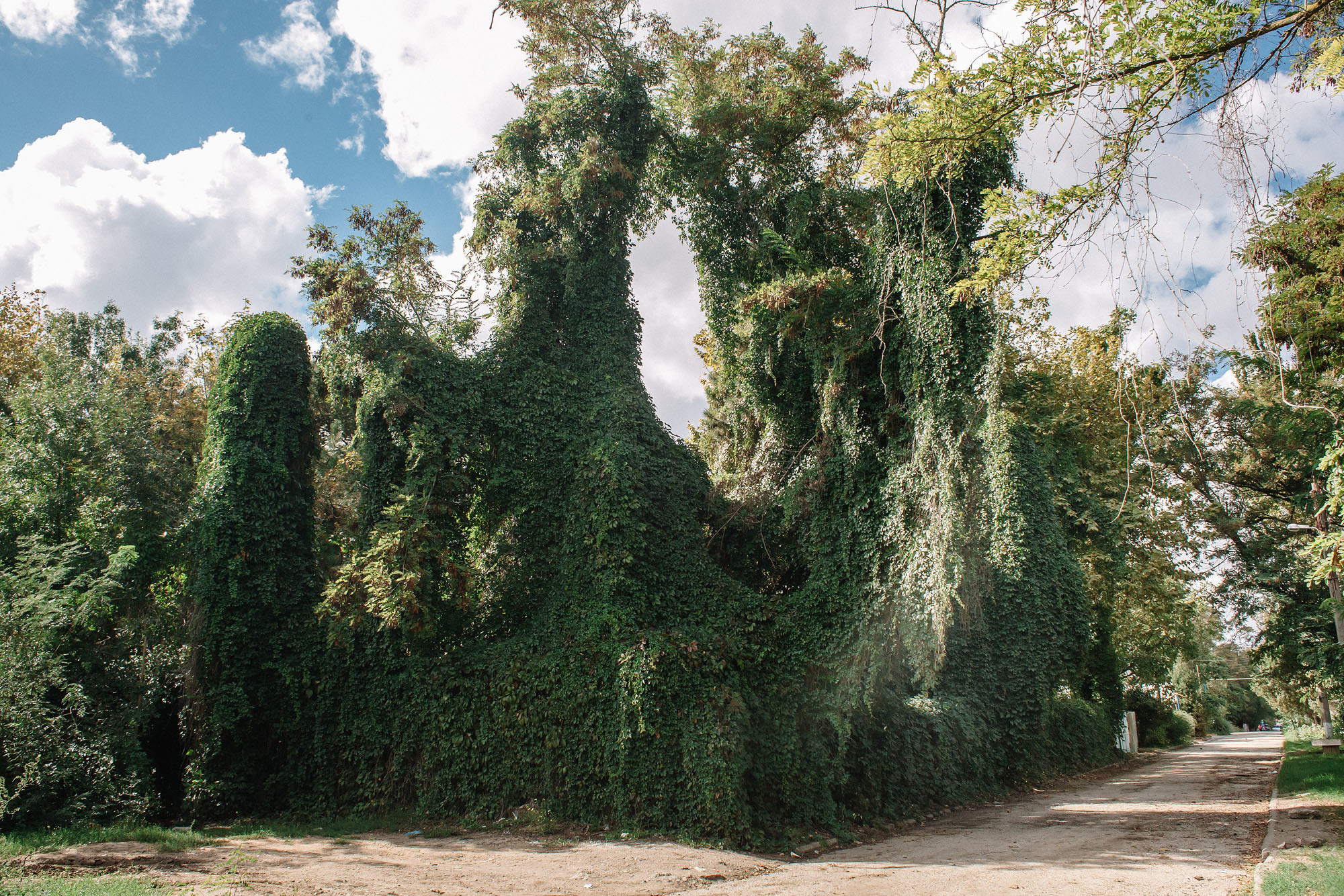 Керчь. Семейный и свадебный фотограф в Майкопе Михаил Мартиросян
