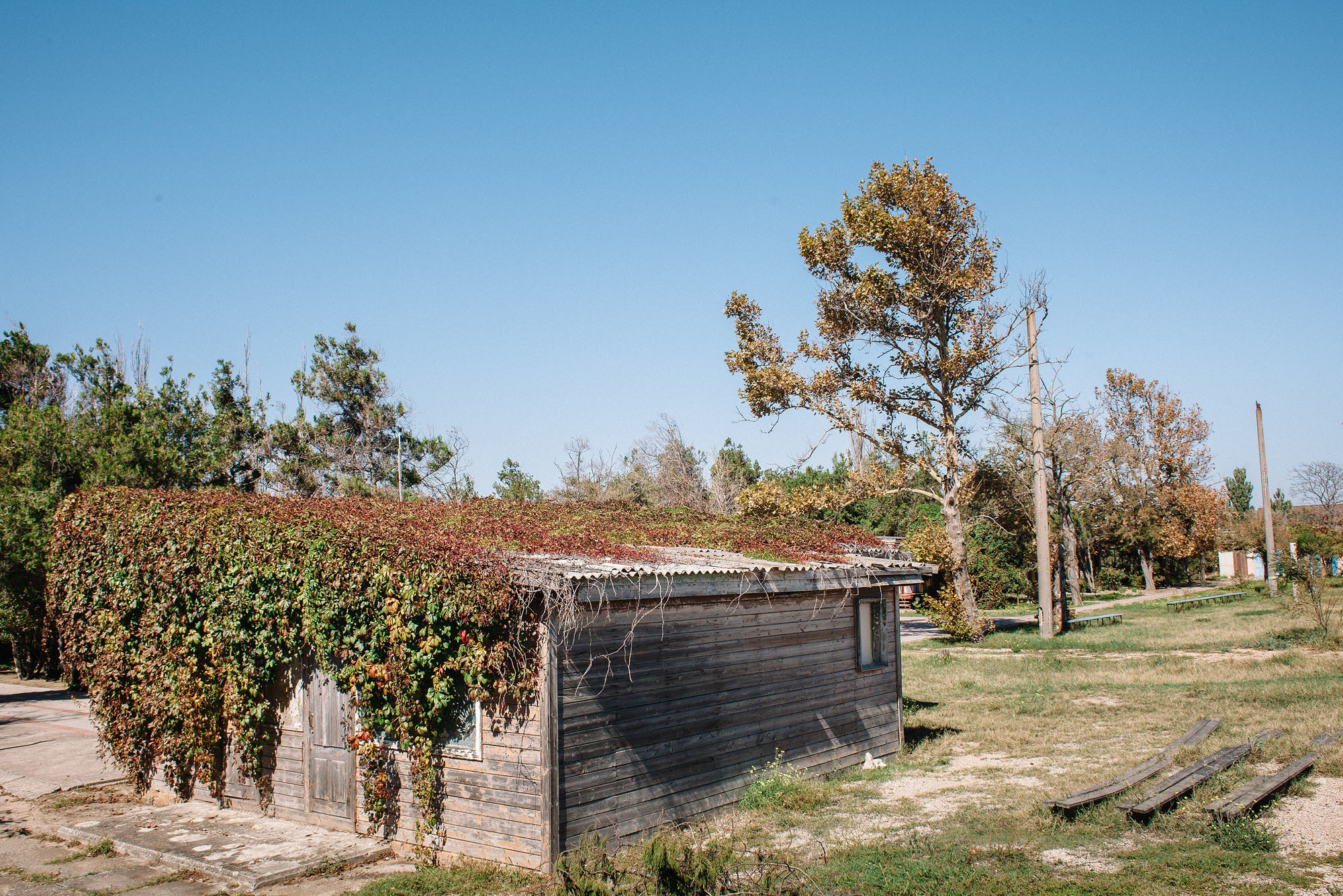 Керчь. Семейный и свадебный фотограф в Майкопе Михаил Мартиросян