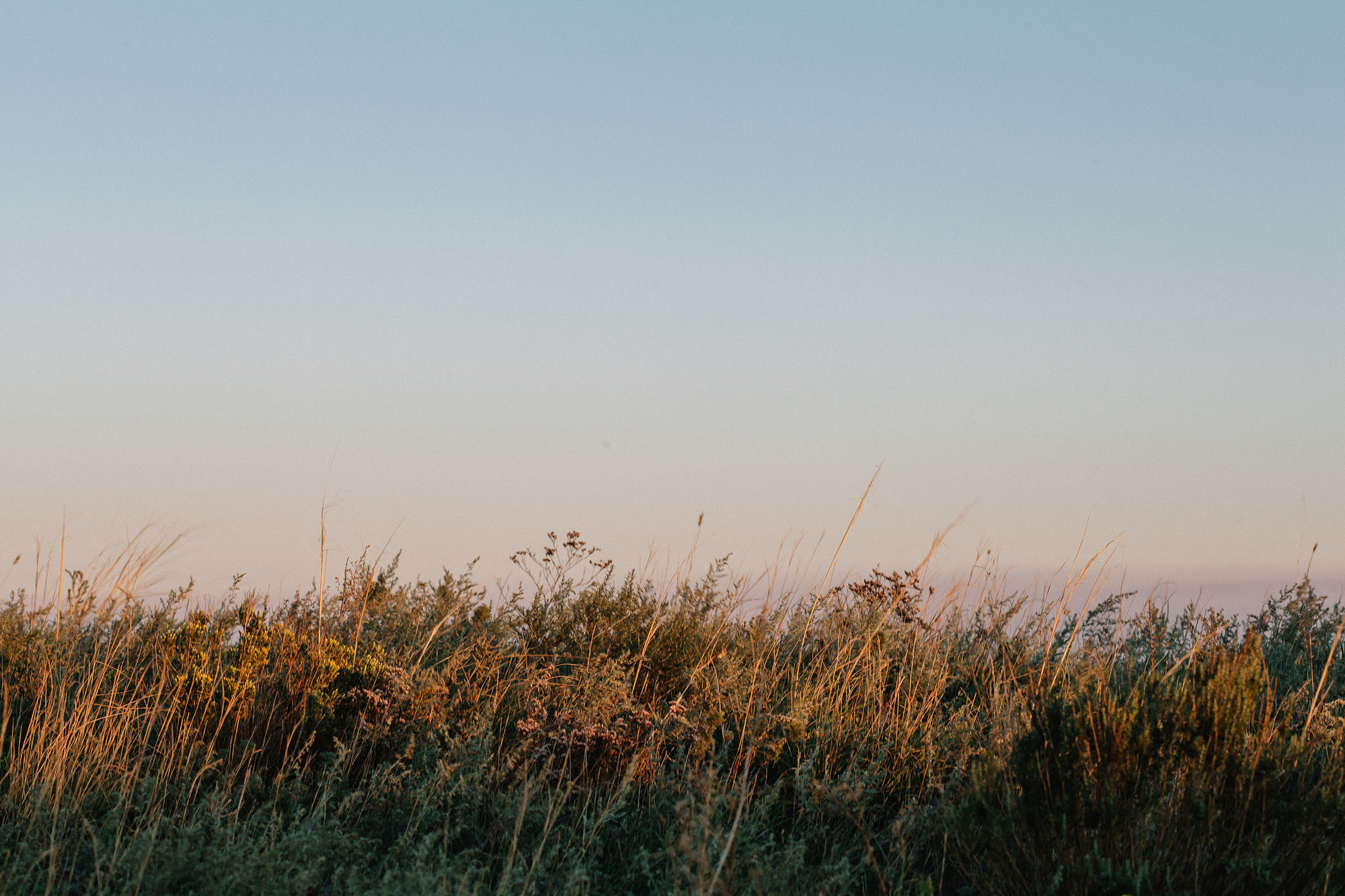 Керчь. Семейный и свадебный фотограф в Майкопе Михаил Мартиросян