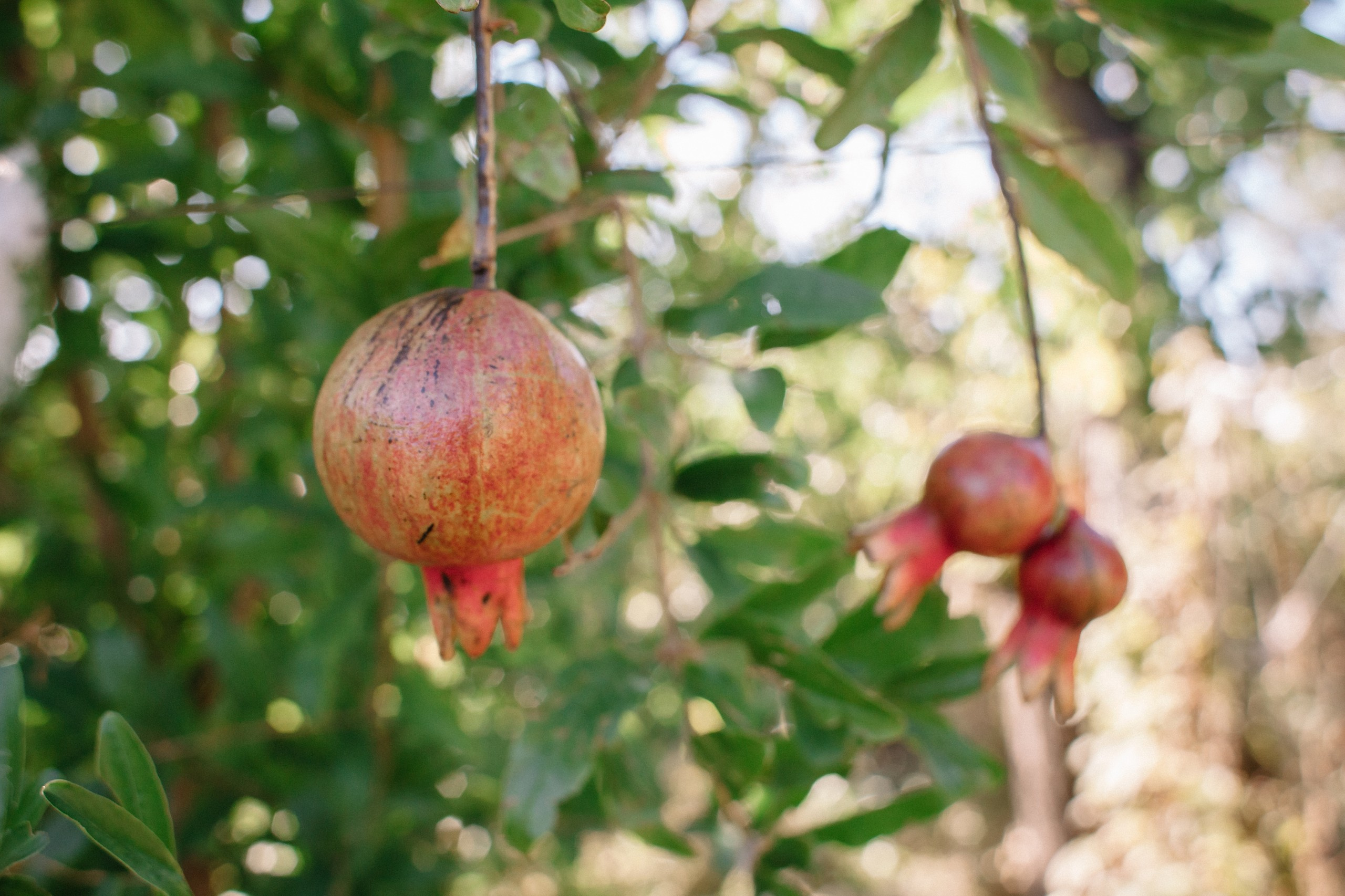 Керчь_сентябрь. Семейный и свадебный фотограф в Майкопе Михаил Мартиросян