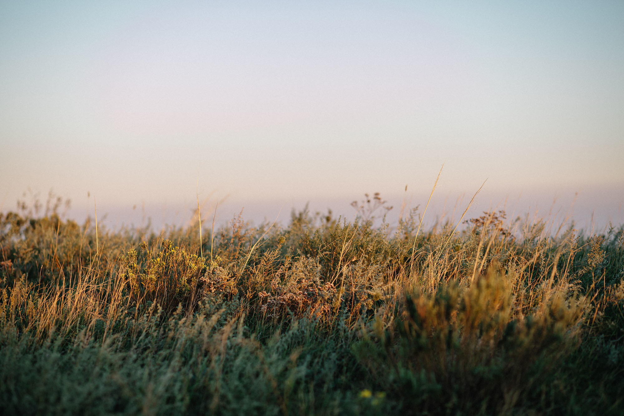 Керчь. Семейный и свадебный фотограф в Майкопе Михаил Мартиросян