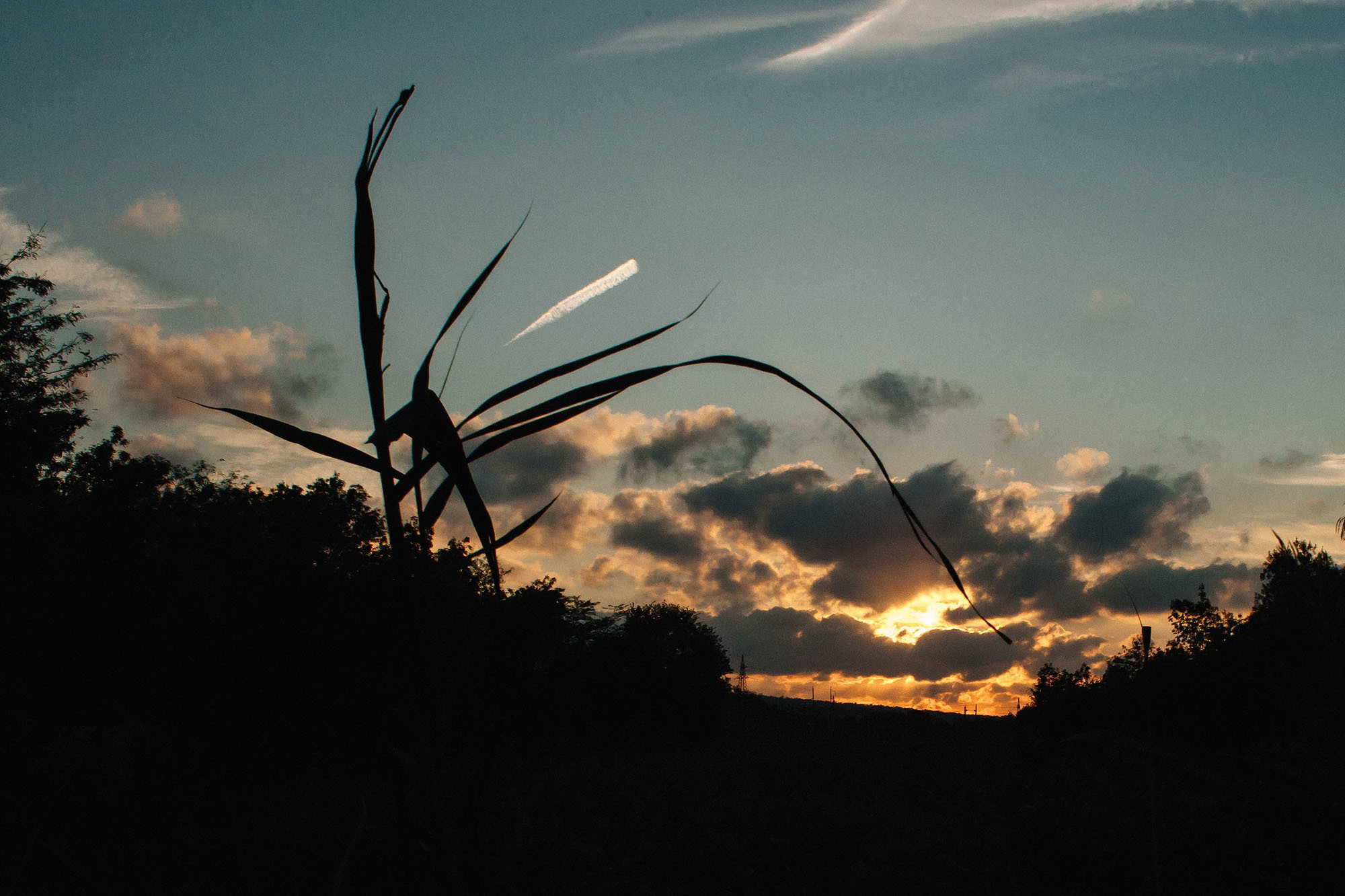 Керчь. Семейный и свадебный фотограф в Майкопе Михаил Мартиросян